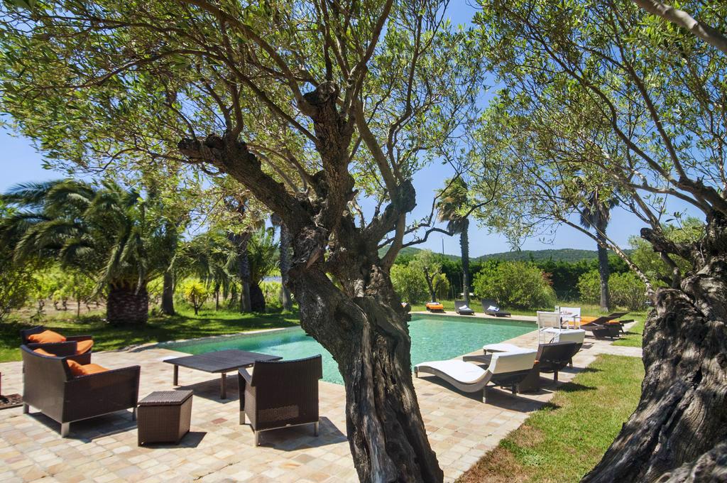 System.Collections.Generic.List`1[BluePillow.Application.SearchEngine.Dto.PhotoDto]?.ElementAt(0)?.Caption