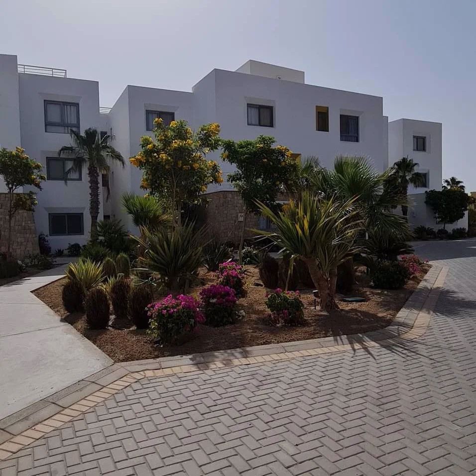 System.Collections.Generic.List`1[BluePillow.Application.SearchEngine.Dto.PhotoDto]?.ElementAt(1)?.Caption