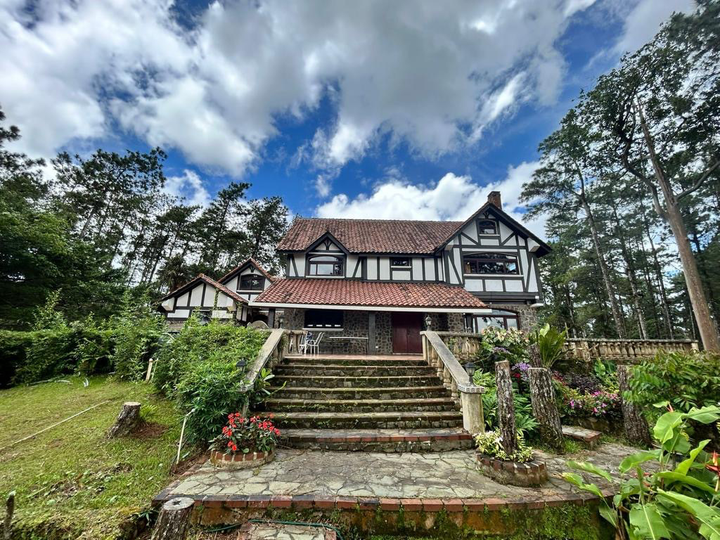 System.Collections.Generic.List`1[BluePillow.Application.SearchEngine.Dto.PhotoDto]?.ElementAt(1)?.Caption