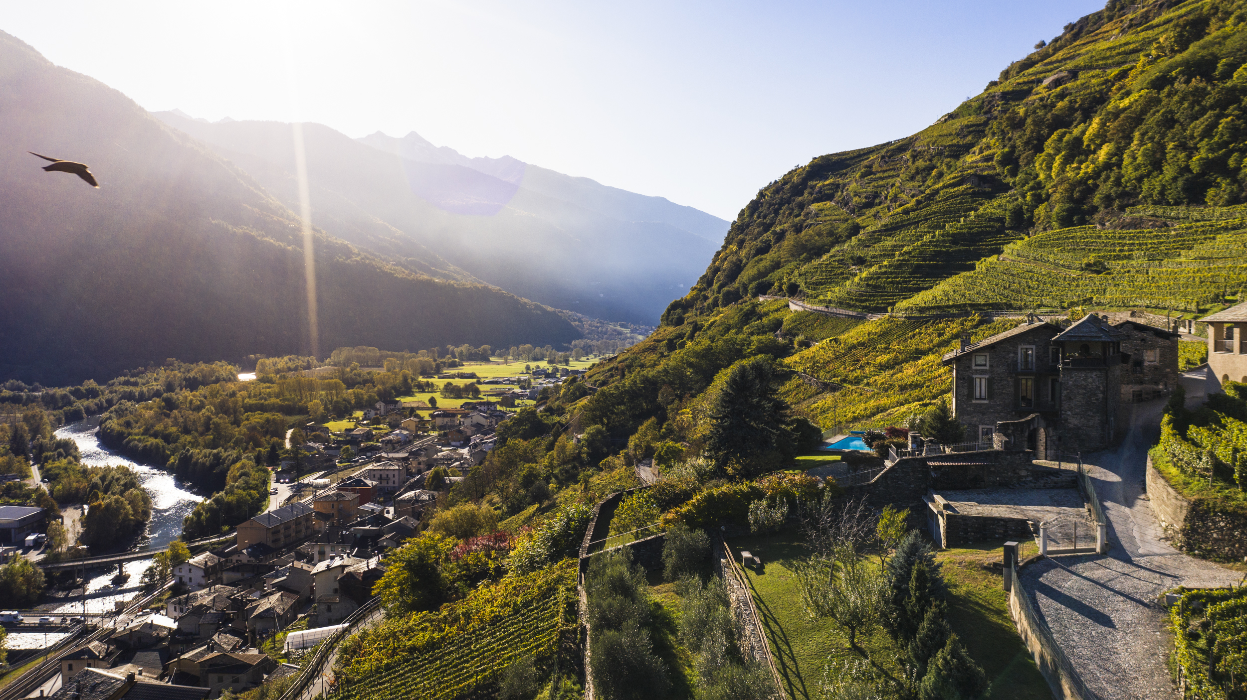 System.Collections.Generic.List`1[BluePillow.Application.SearchEngine.Dto.PhotoDto]?.ElementAt(1)?.Caption