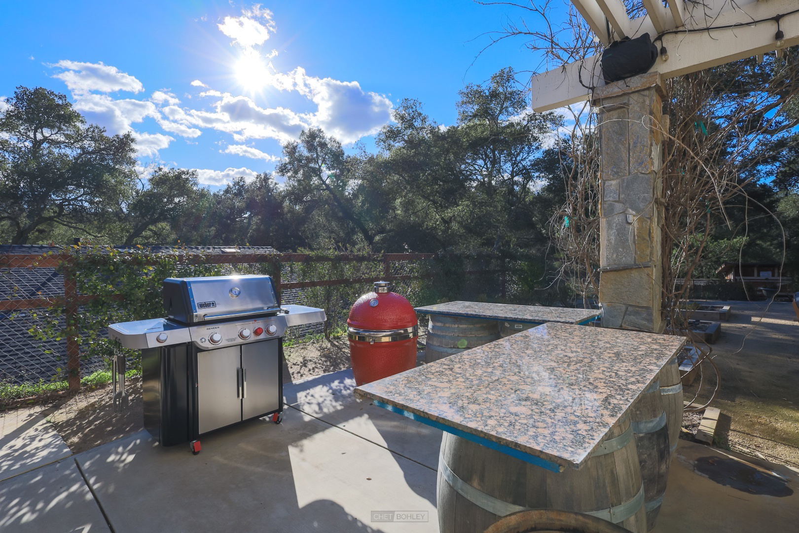 System.Collections.Generic.List`1[BluePillow.Application.SearchEngine.Dto.PhotoDto]?.ElementAt(2)?.Caption