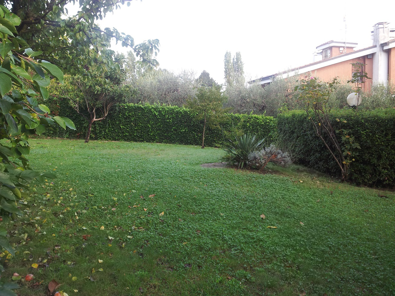 System.Collections.Generic.List`1[BluePillow.Application.SearchEngine.Dto.PhotoDto]?.ElementAt(2)?.Caption