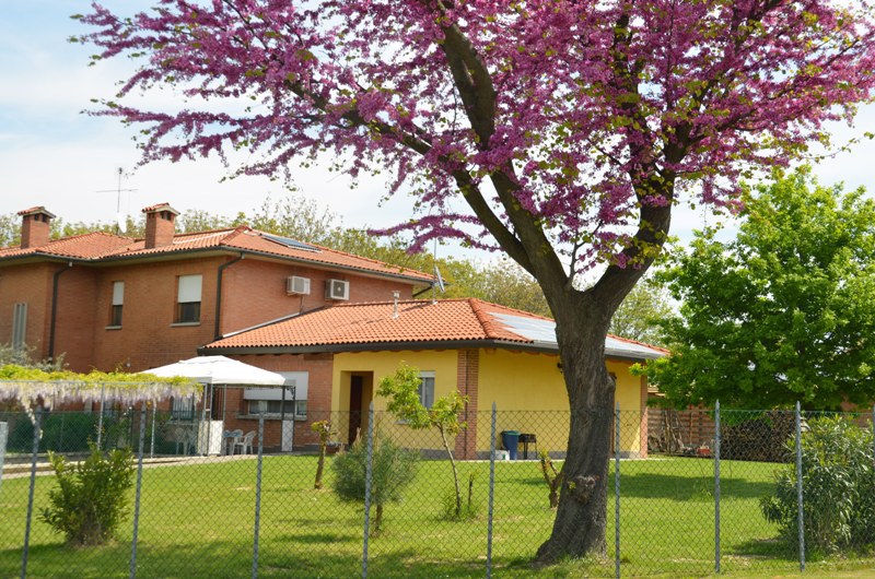 System.Collections.Generic.List`1[BluePillow.Application.SearchEngine.Dto.PhotoDto]?.ElementAt(1)?.Caption