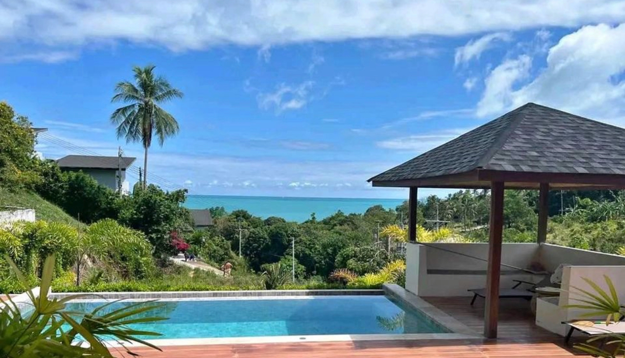 System.Collections.Generic.List`1[BluePillow.Application.SearchEngine.Dto.PhotoDto]?.ElementAt(1)?.Caption