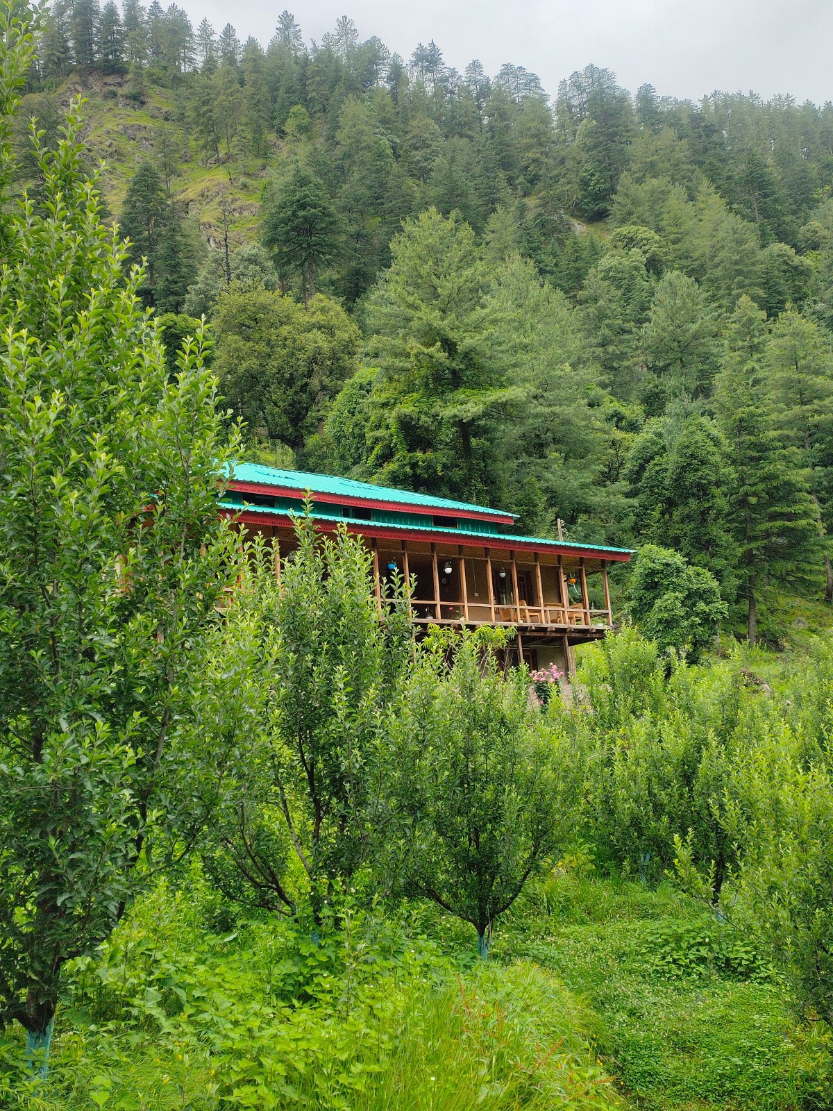 System.Collections.Generic.List`1[BluePillow.Application.SearchEngine.Dto.PhotoDto]?.ElementAt(0)?.Caption