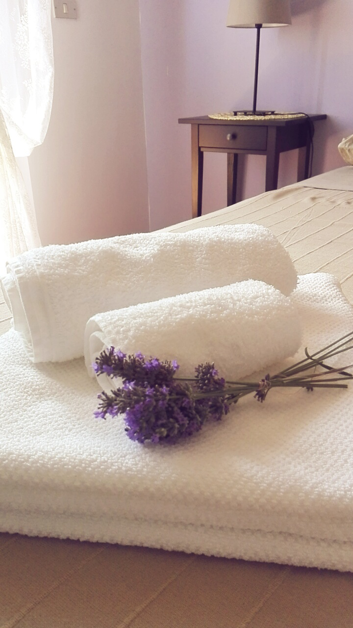 System.Collections.Generic.List`1[BluePillow.Application.SearchEngine.Dto.PhotoDto]?.ElementAt(0)?.Caption