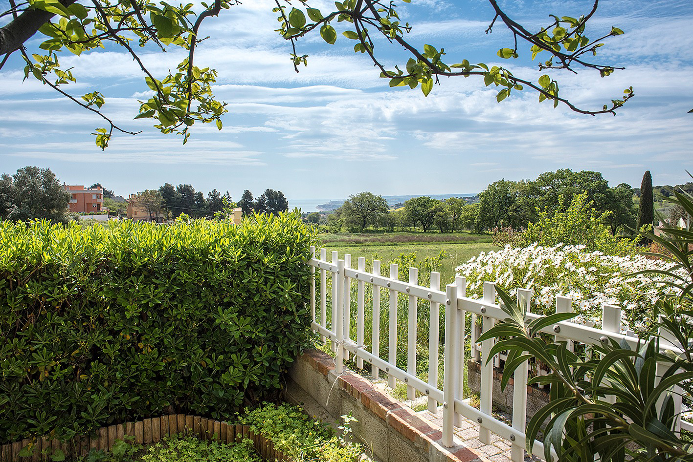 System.Collections.Generic.List`1[BluePillow.Application.SearchEngine.Dto.PhotoDto]?.ElementAt(2)?.Caption