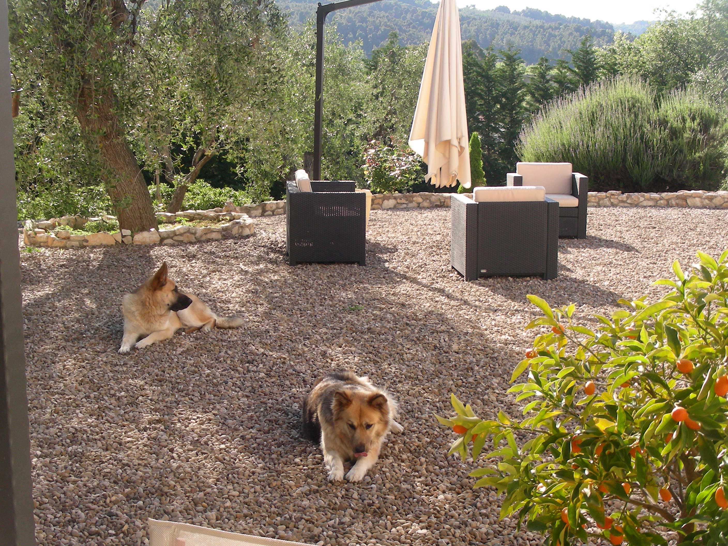 System.Collections.Generic.List`1[BluePillow.Application.SearchEngine.Dto.PhotoDto]?.ElementAt(1)?.Caption