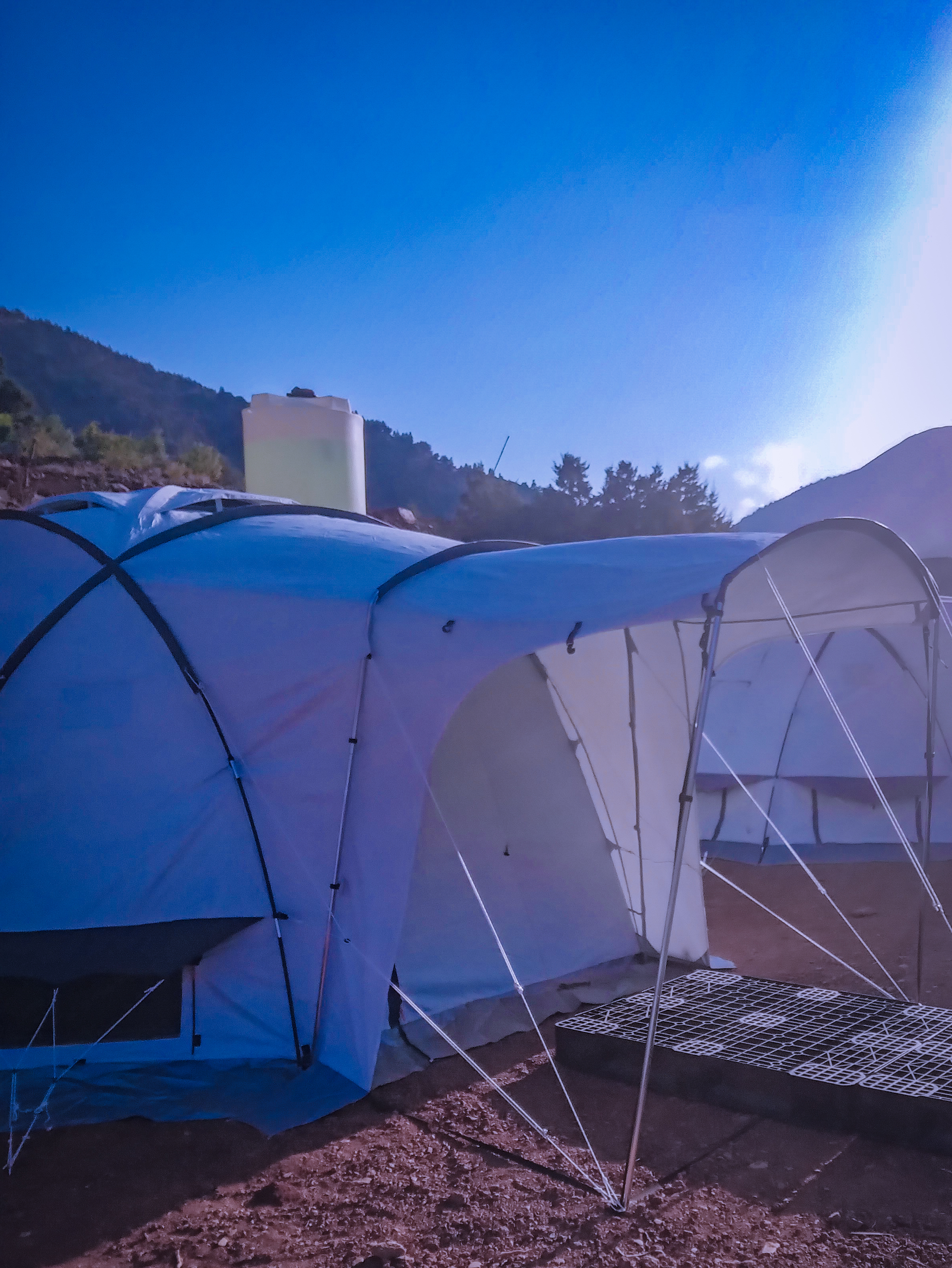 System.Collections.Generic.List`1[BluePillow.Application.SearchEngine.Dto.PhotoDto]?.ElementAt(2)?.Caption