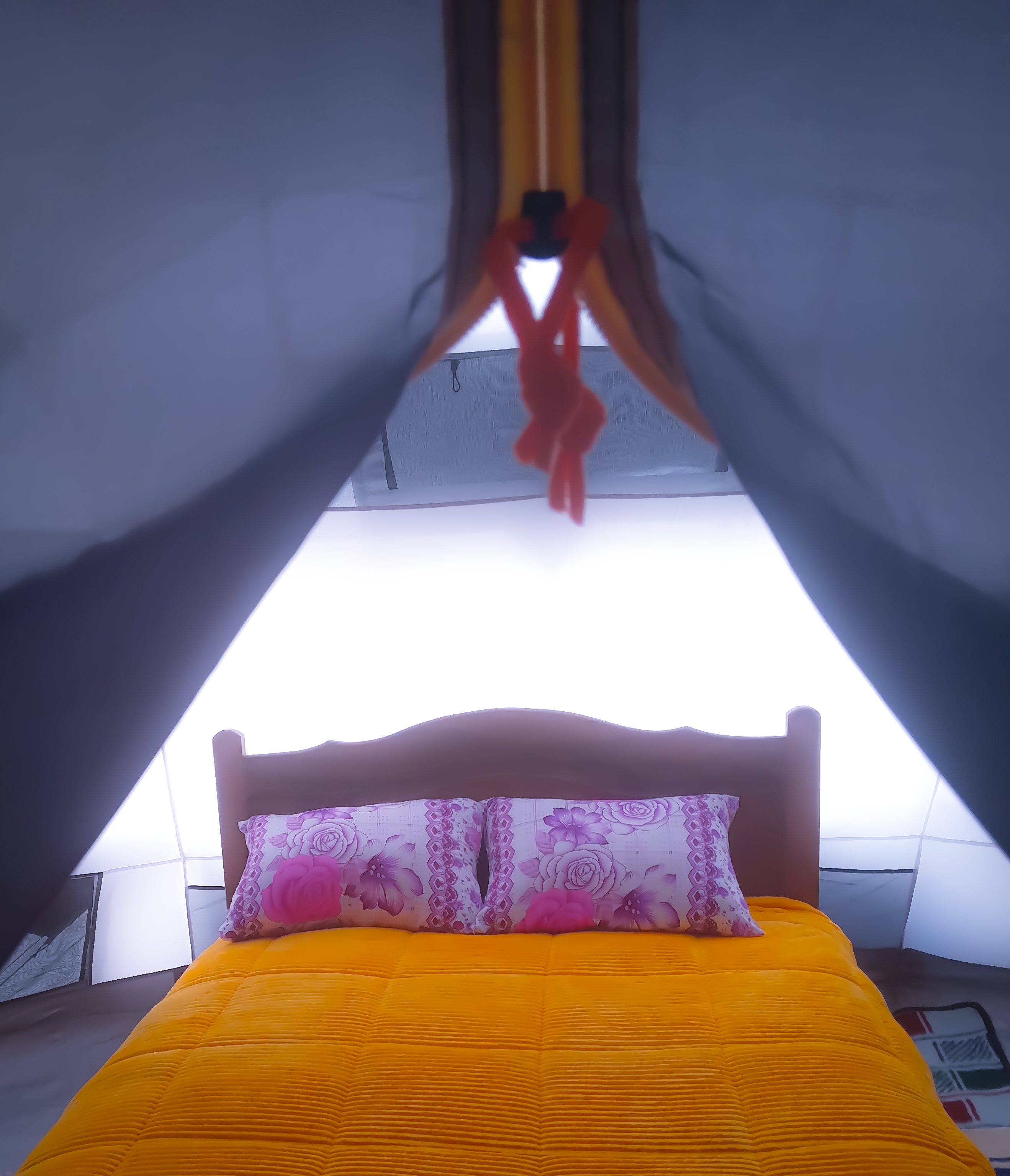 System.Collections.Generic.List`1[BluePillow.Application.SearchEngine.Dto.PhotoDto]?.ElementAt(3)?.Caption