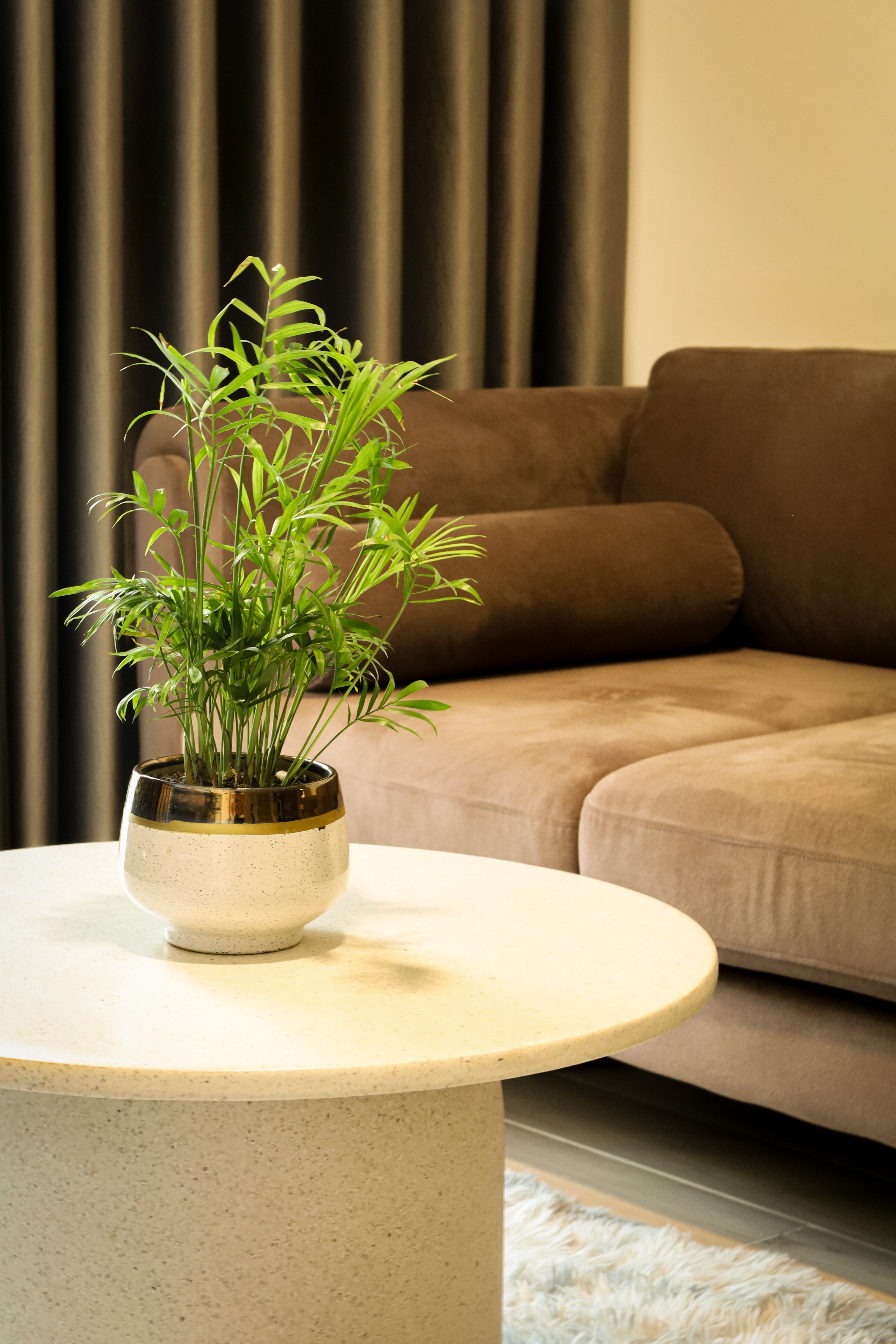 System.Collections.Generic.List`1[BluePillow.Application.SearchEngine.Dto.PhotoDto]?.ElementAt(1)?.Caption