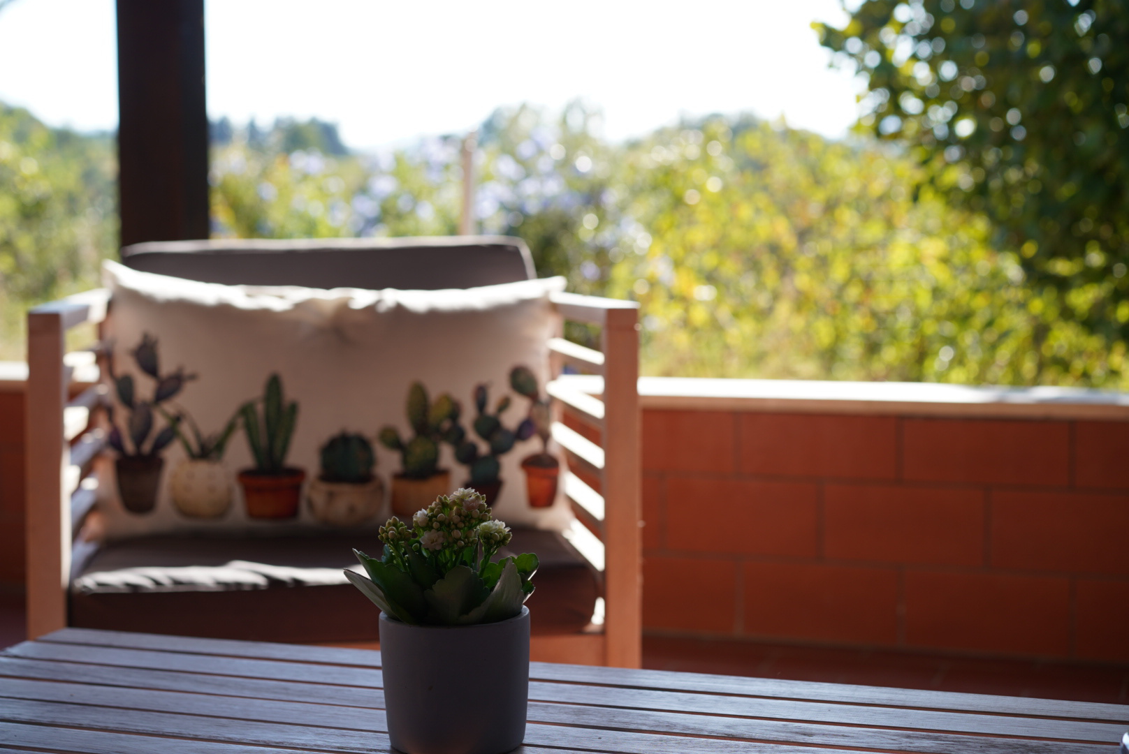 System.Collections.Generic.List`1[BluePillow.Application.SearchEngine.Dto.PhotoDto]?.ElementAt(3)?.Caption