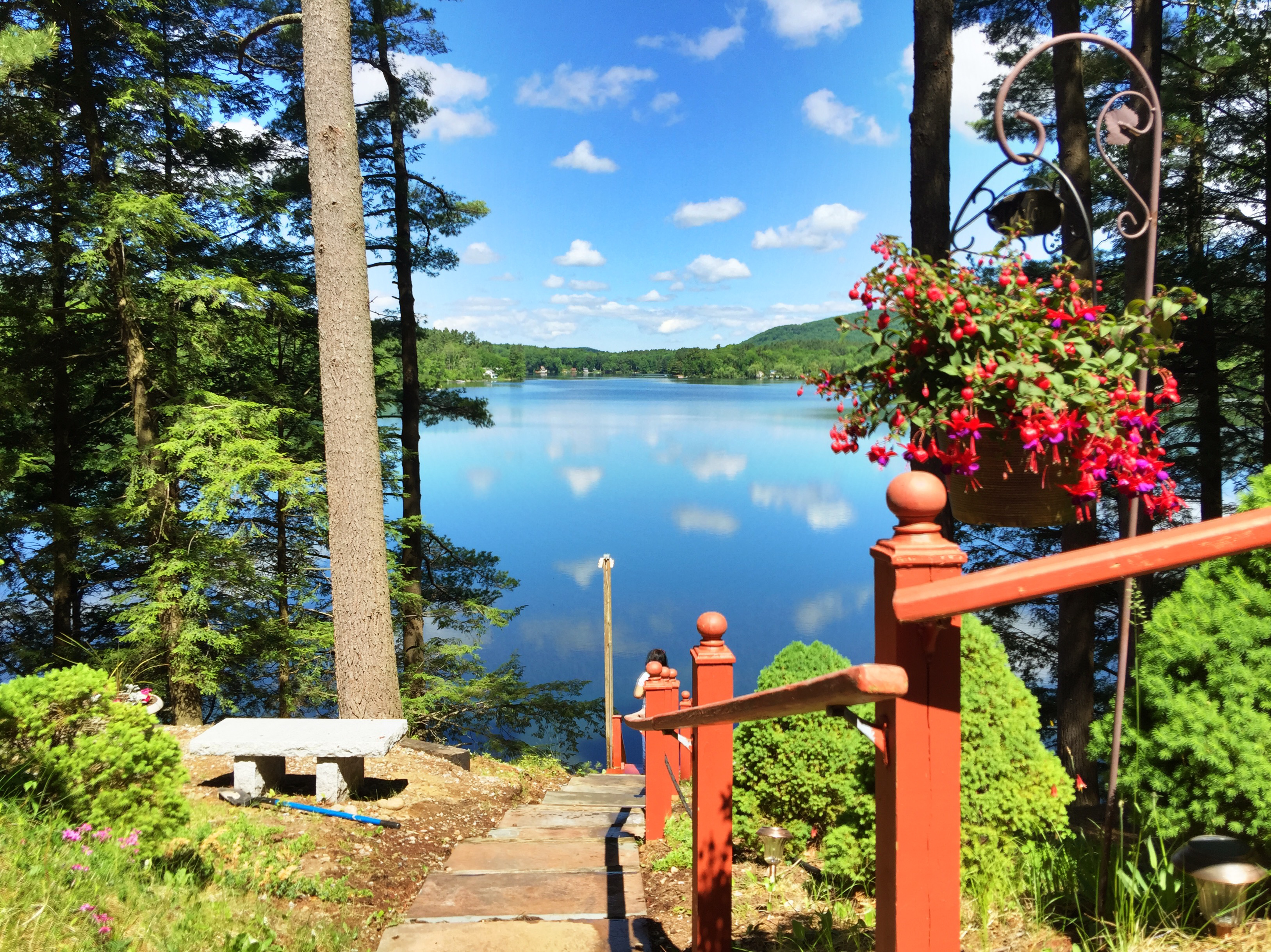 System.Collections.Generic.List`1[BluePillow.Application.SearchEngine.Dto.PhotoDto]?.ElementAt(0)?.Caption