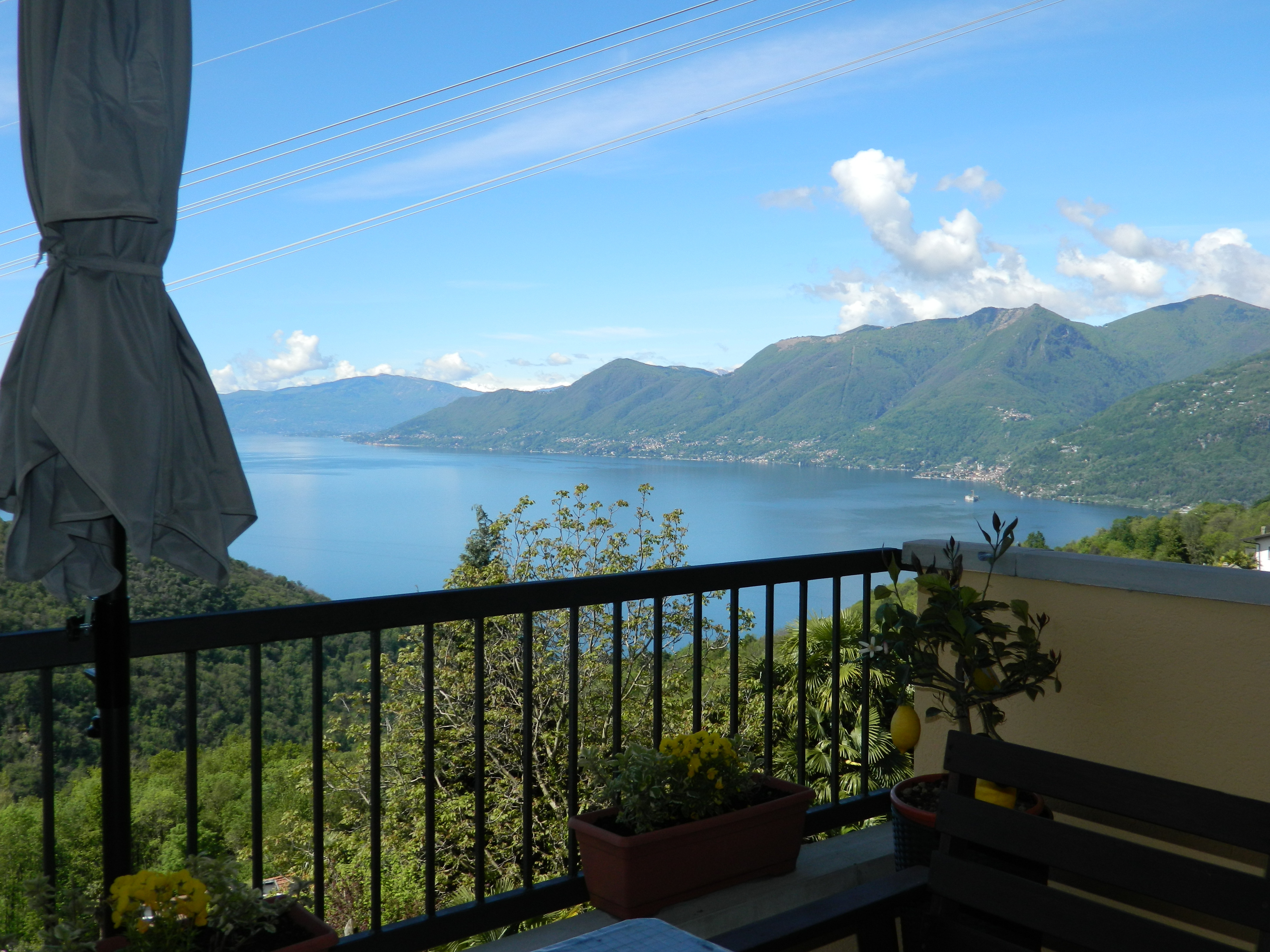 System.Collections.Generic.List`1[BluePillow.Application.SearchEngine.Dto.PhotoDto]?.ElementAt(2)?.Caption