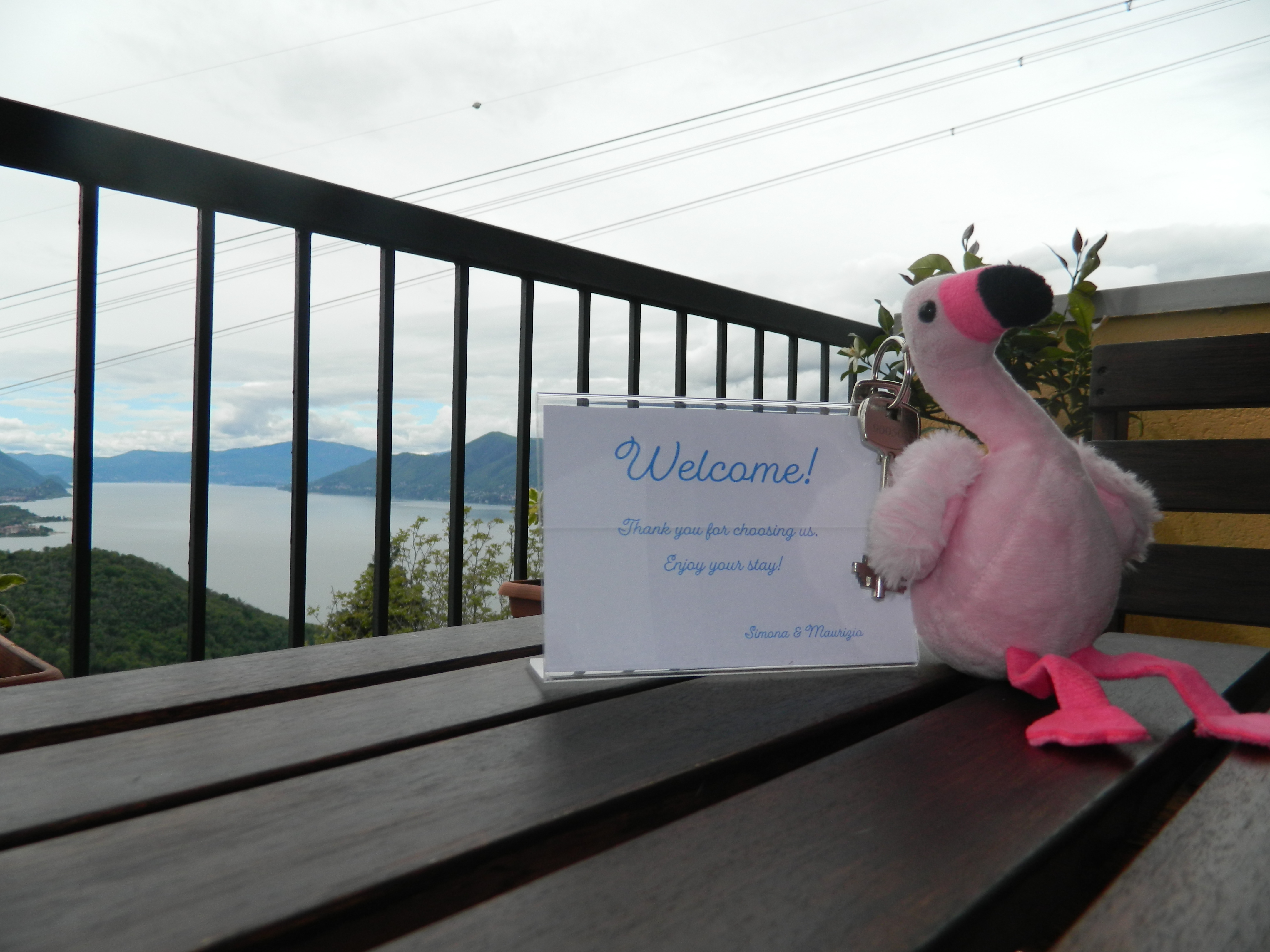 System.Collections.Generic.List`1[BluePillow.Application.SearchEngine.Dto.PhotoDto]?.ElementAt(1)?.Caption