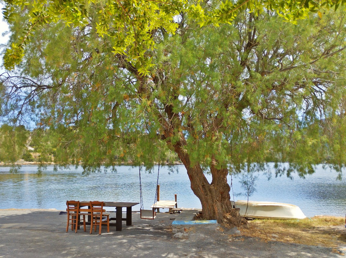 System.Collections.Generic.List`1[BluePillow.Application.SearchEngine.Dto.PhotoDto]?.ElementAt(1)?.Caption