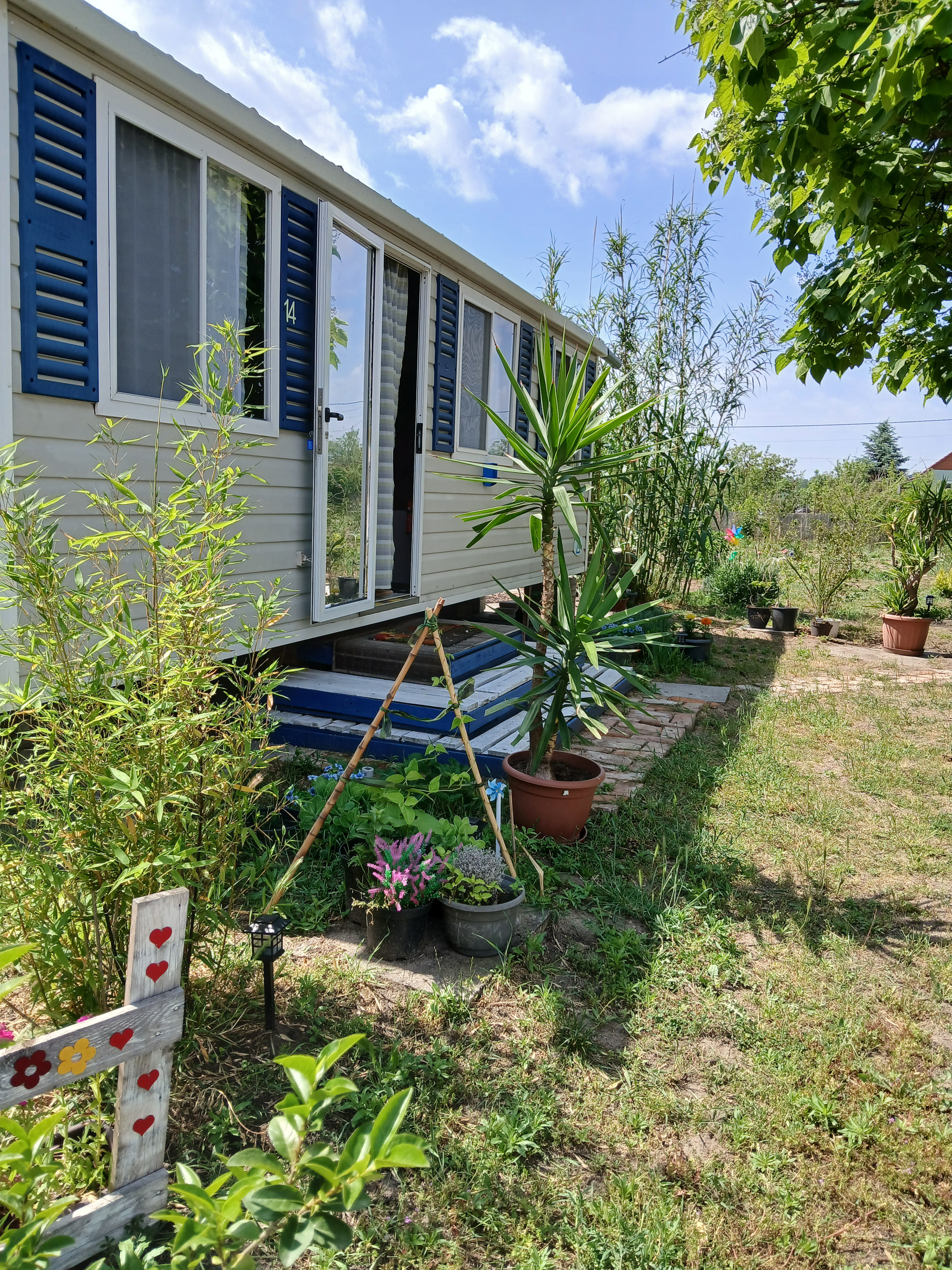 System.Collections.Generic.List`1[BluePillow.Application.SearchEngine.Dto.PhotoDto]?.ElementAt(0)?.Caption