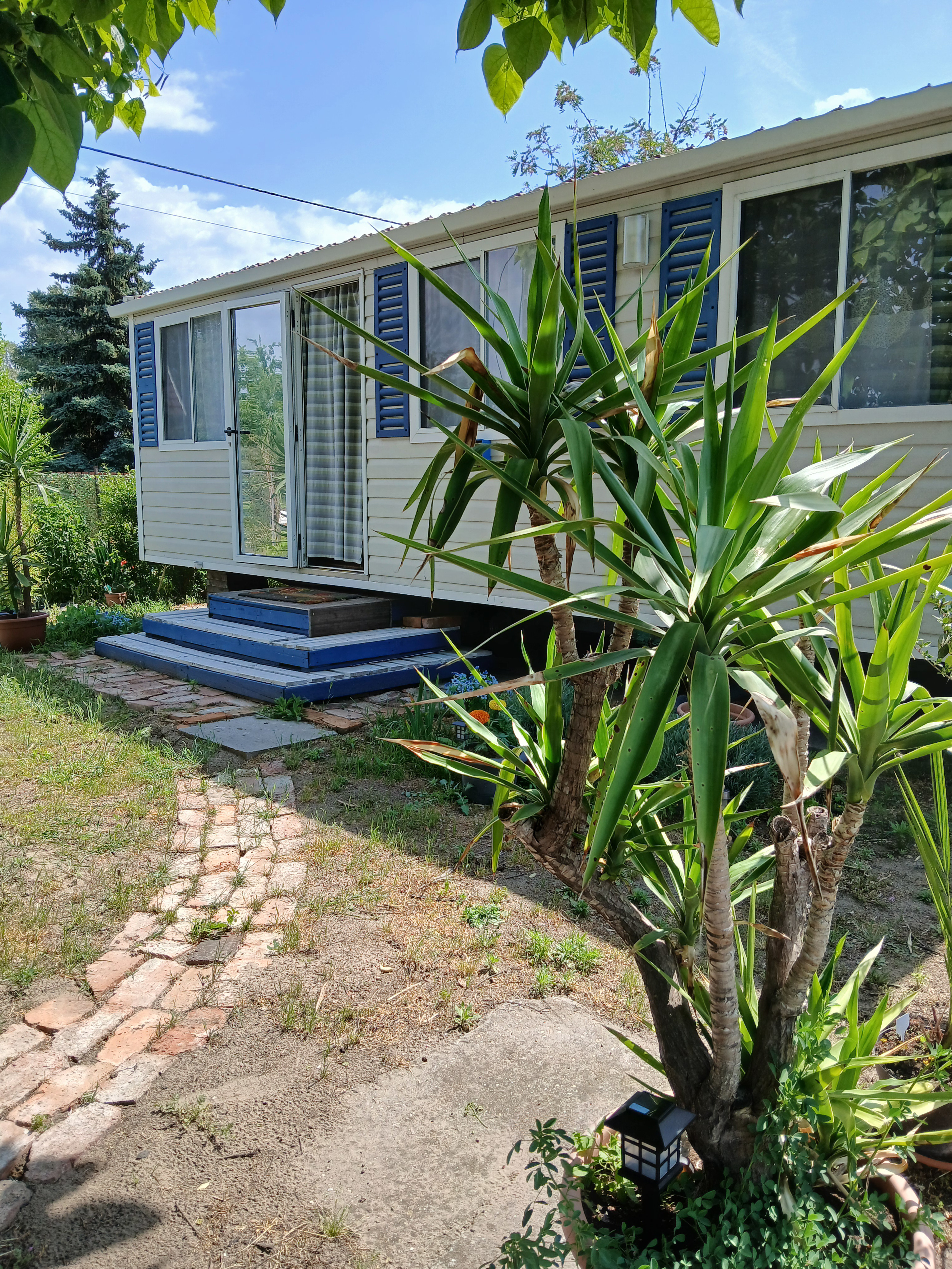 System.Collections.Generic.List`1[BluePillow.Application.SearchEngine.Dto.PhotoDto]?.ElementAt(1)?.Caption