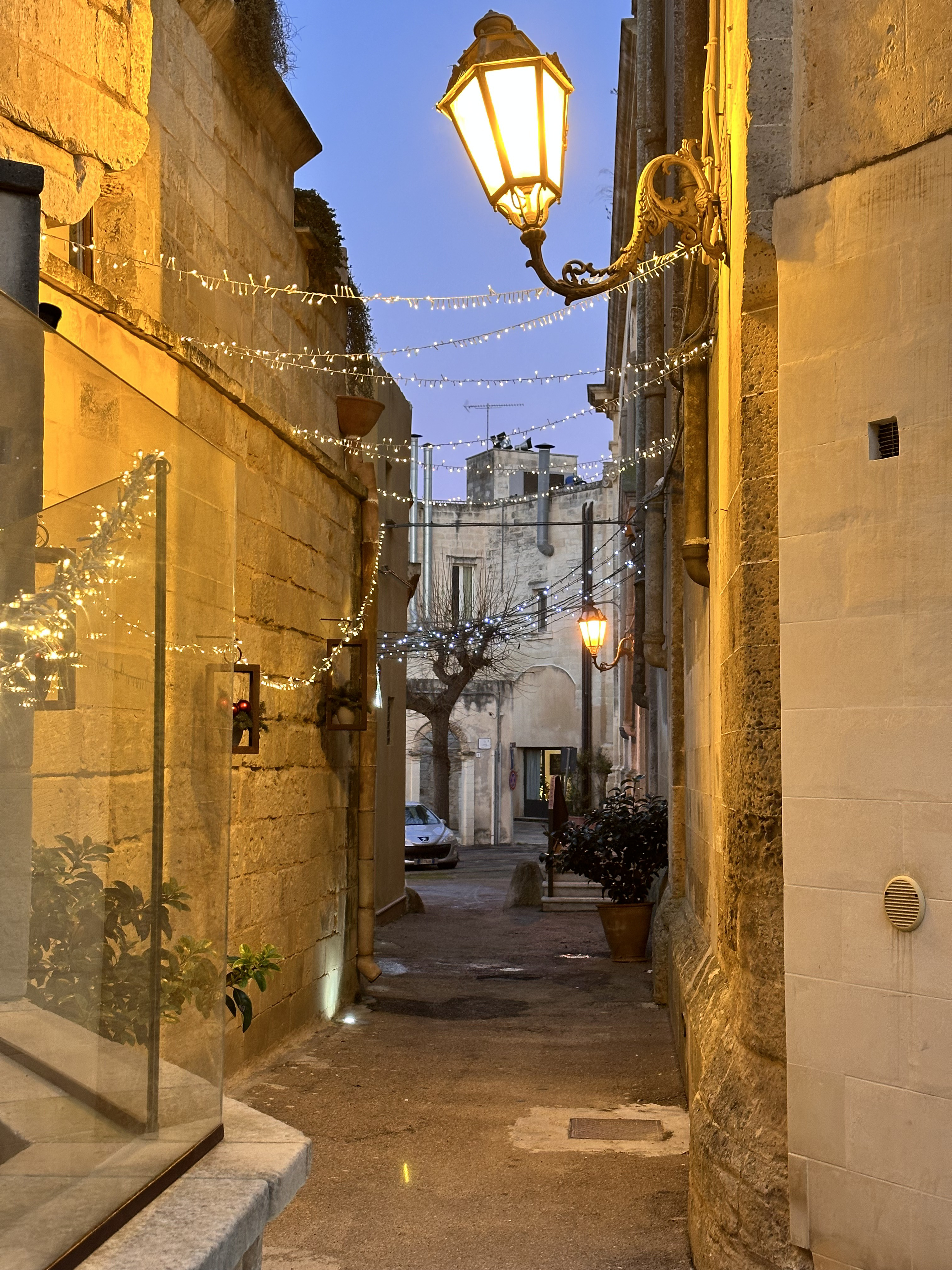 System.Collections.Generic.List`1[BluePillow.Application.SearchEngine.Dto.PhotoDto]?.ElementAt(0)?.Caption