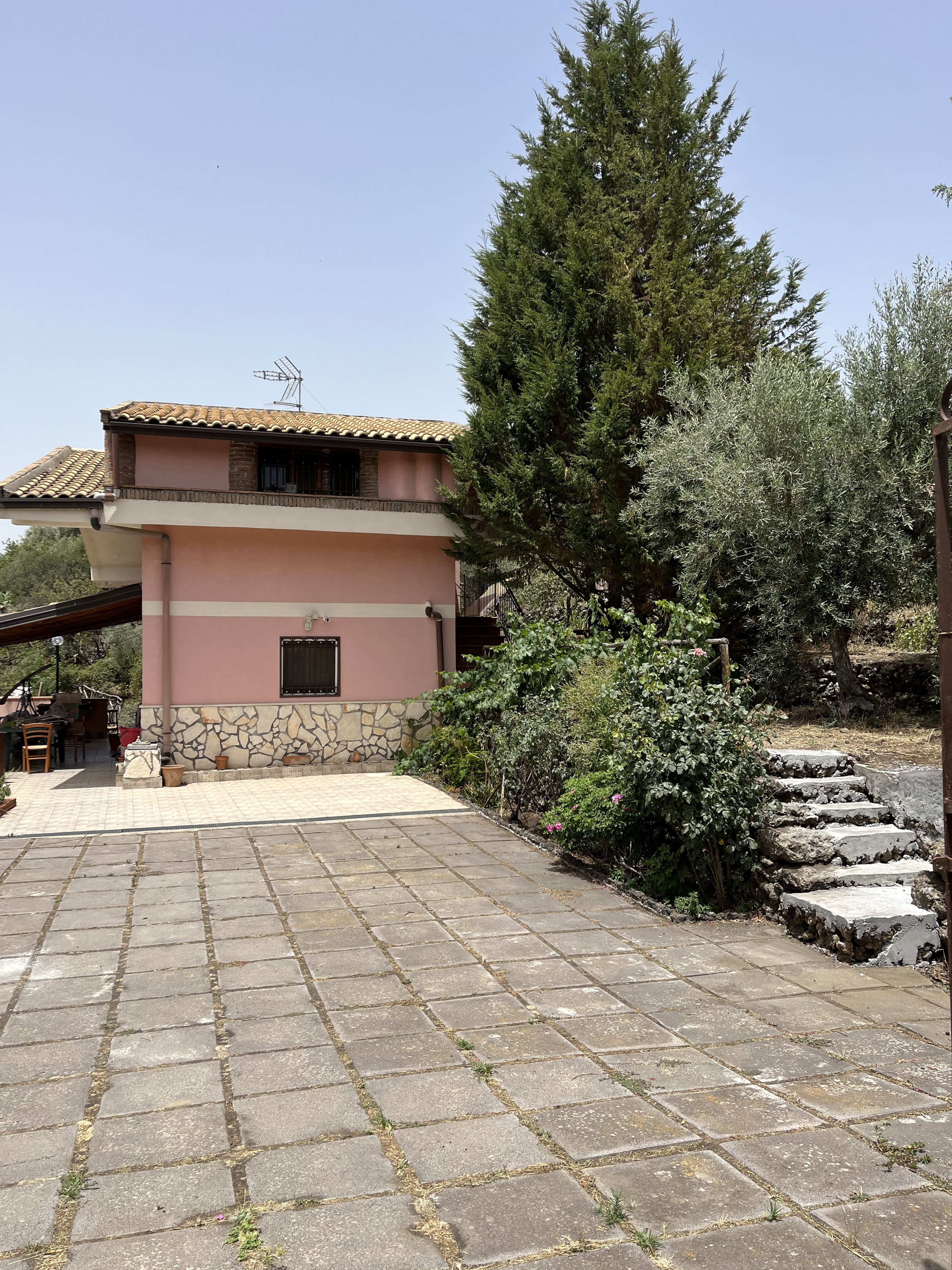 System.Collections.Generic.List`1[BluePillow.Application.SearchEngine.Dto.PhotoDto]?.ElementAt(0)?.Caption