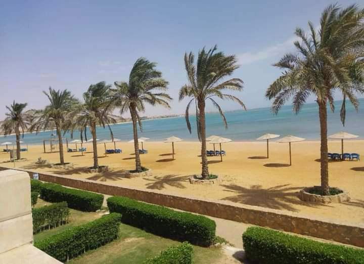 System.Collections.Generic.List`1[BluePillow.Application.SearchEngine.Dto.PhotoDto]?.ElementAt(0)?.Caption