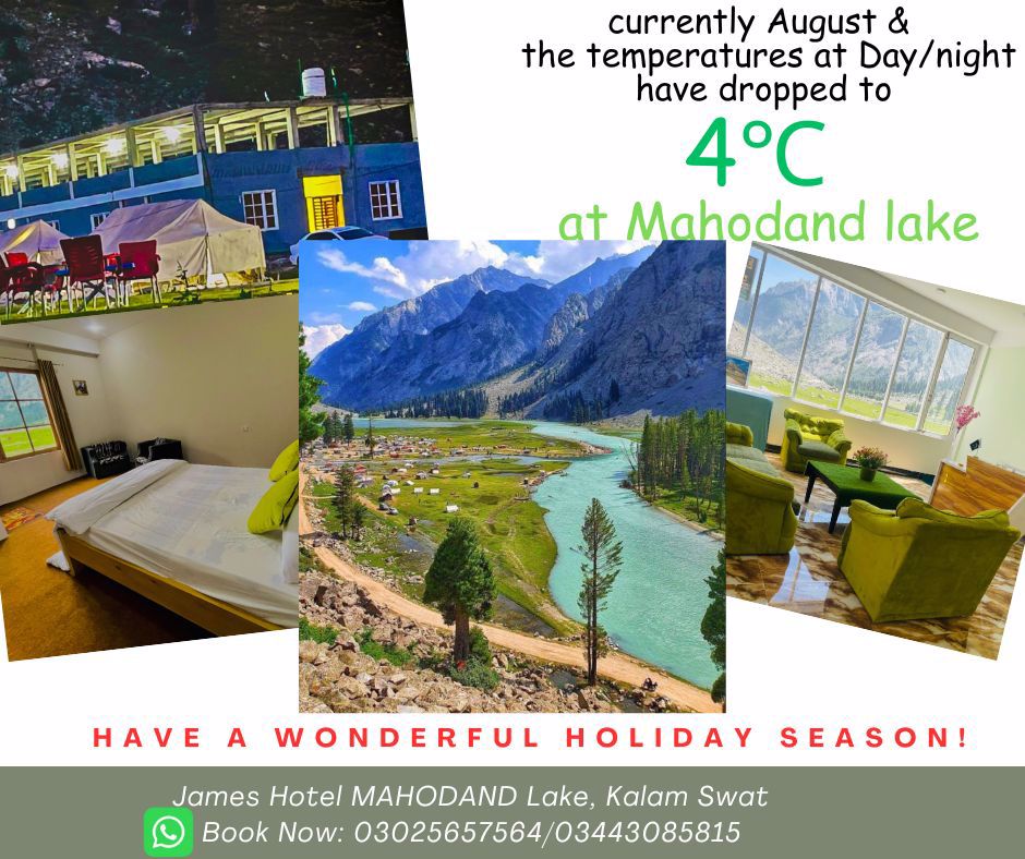 System.Collections.Generic.List`1[BluePillow.Application.SearchEngine.Dto.PhotoDto]?.ElementAt(0)?.Caption