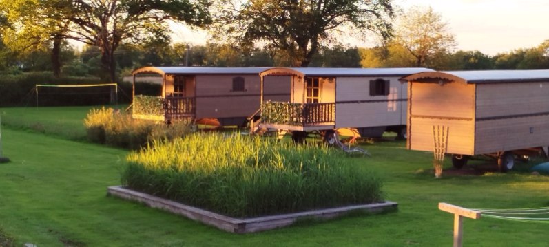 System.Collections.Generic.List`1[BluePillow.Application.SearchEngine.Dto.PhotoDto]?.ElementAt(0)?.Caption