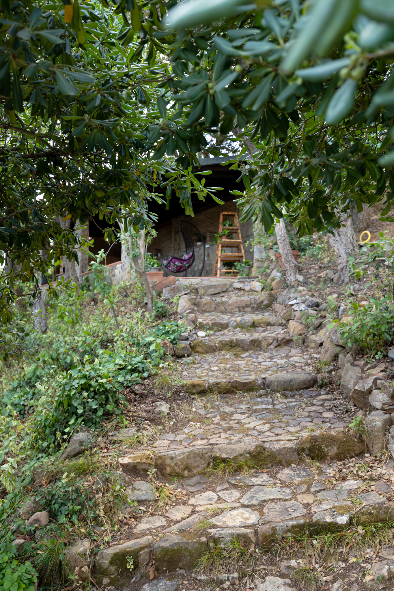 System.Collections.Generic.List`1[BluePillow.Application.SearchEngine.Dto.PhotoDto]?.ElementAt(3)?.Caption