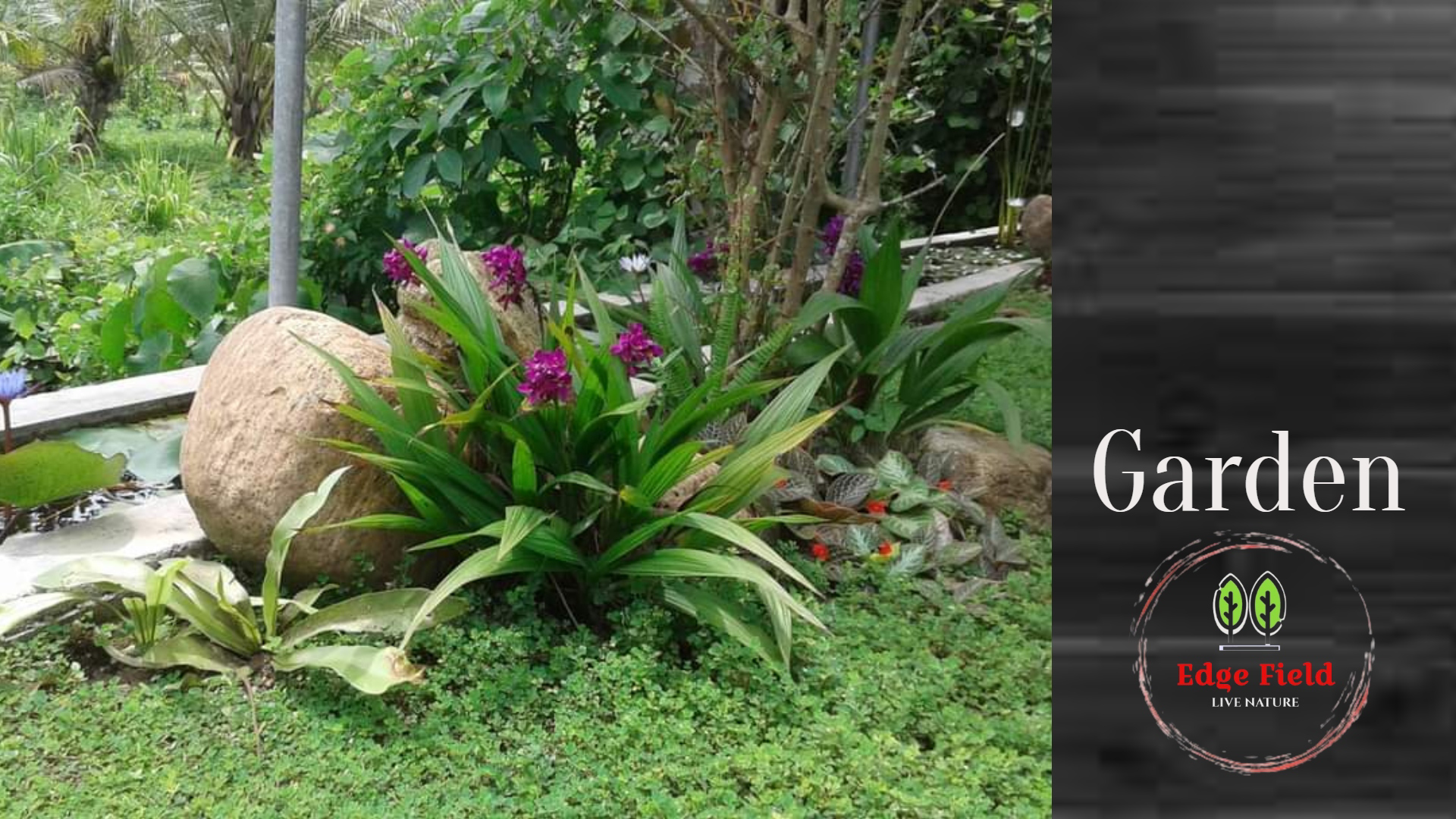 System.Collections.Generic.List`1[BluePillow.Application.SearchEngine.Dto.PhotoDto]?.ElementAt(2)?.Caption