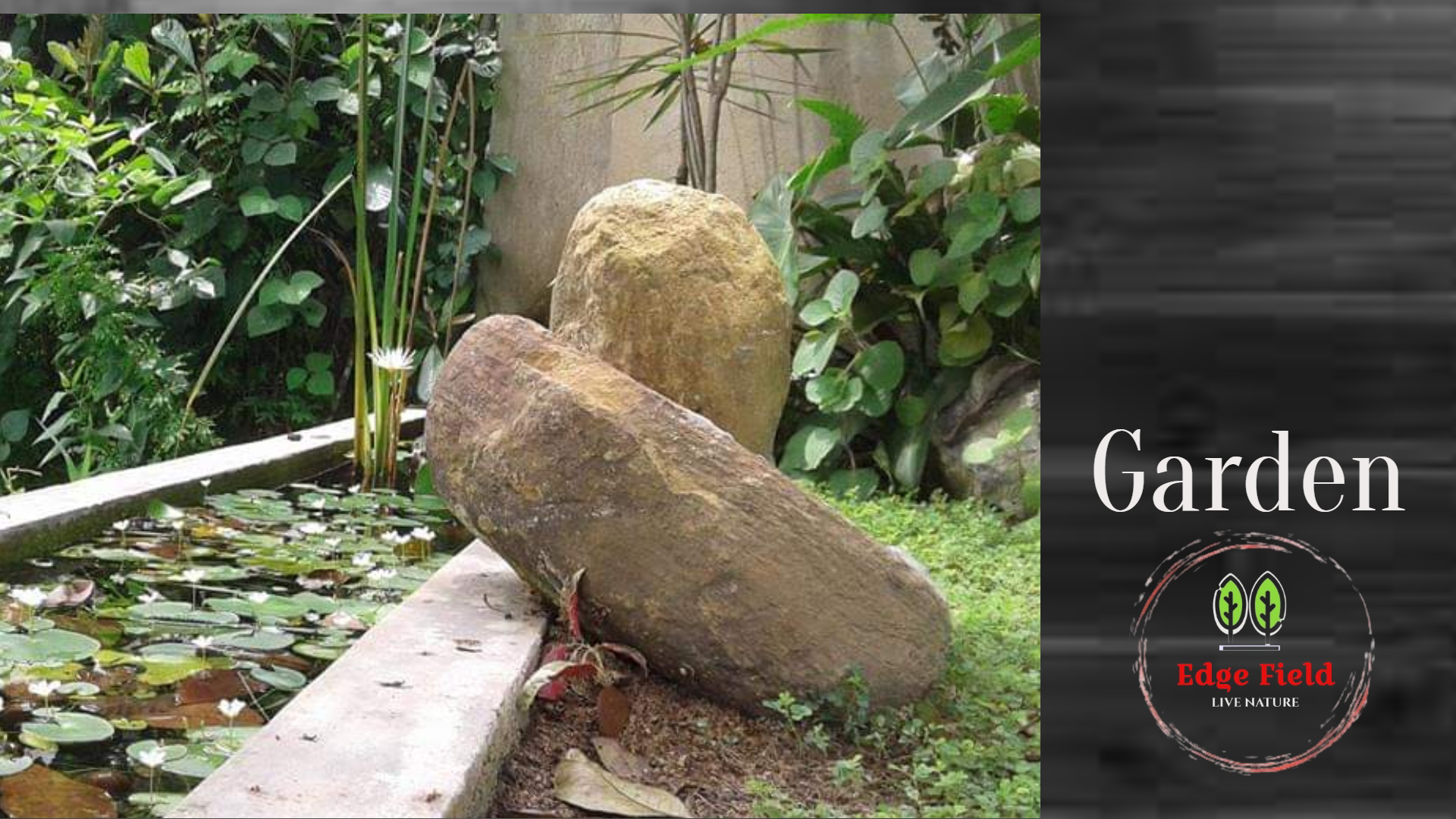 System.Collections.Generic.List`1[BluePillow.Application.SearchEngine.Dto.PhotoDto]?.ElementAt(3)?.Caption