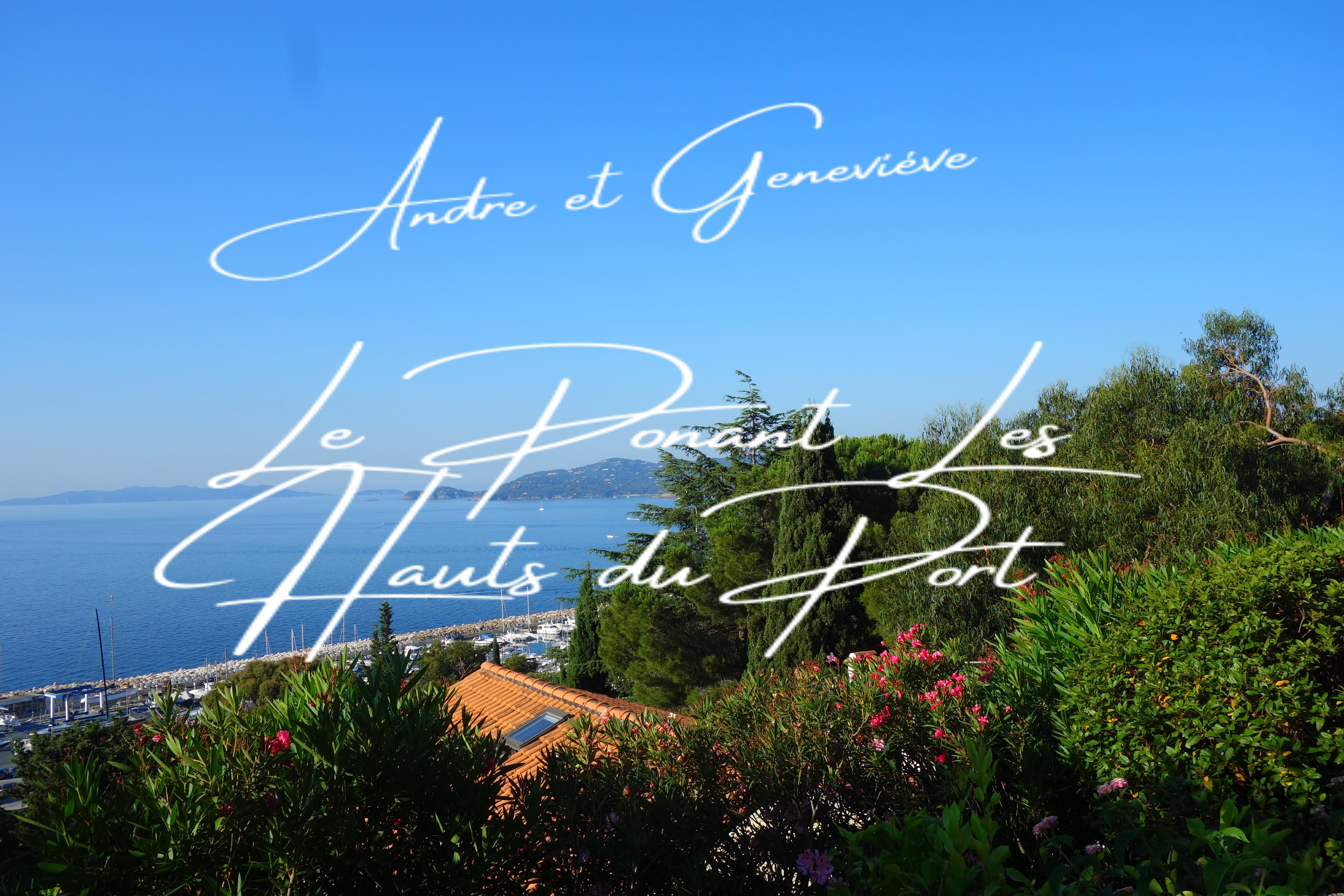 System.Collections.Generic.List`1[BluePillow.Application.SearchEngine.Dto.PhotoDto]?.ElementAt(0)?.Caption