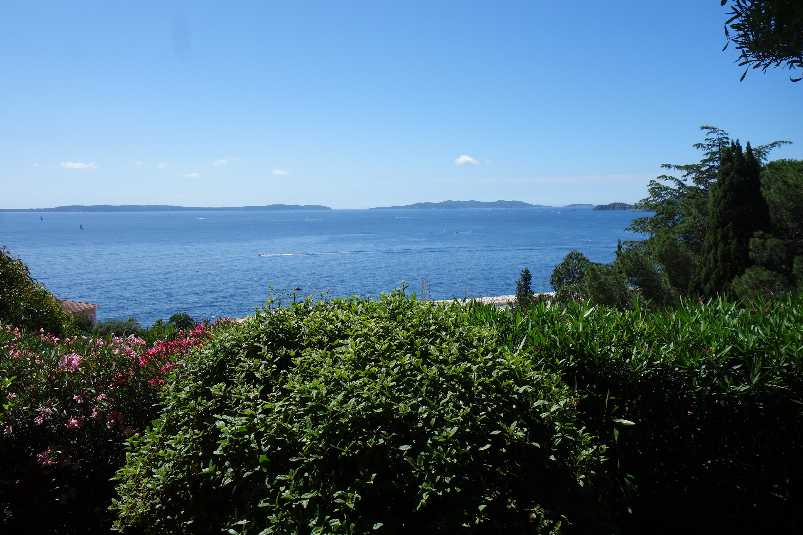 System.Collections.Generic.List`1[BluePillow.Application.SearchEngine.Dto.PhotoDto]?.ElementAt(2)?.Caption