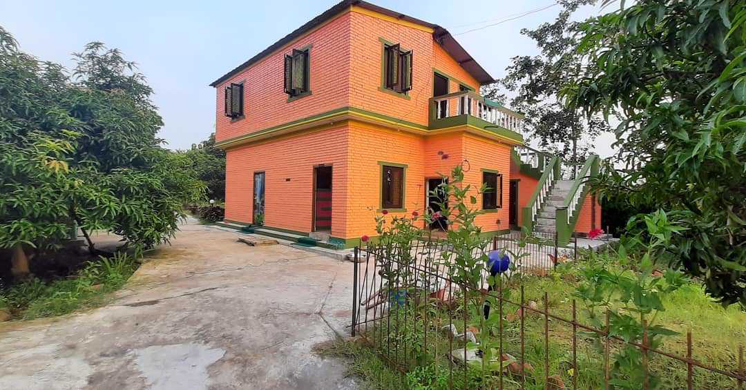 System.Collections.Generic.List`1[BluePillow.Application.SearchEngine.Dto.PhotoDto]?.ElementAt(0)?.Caption