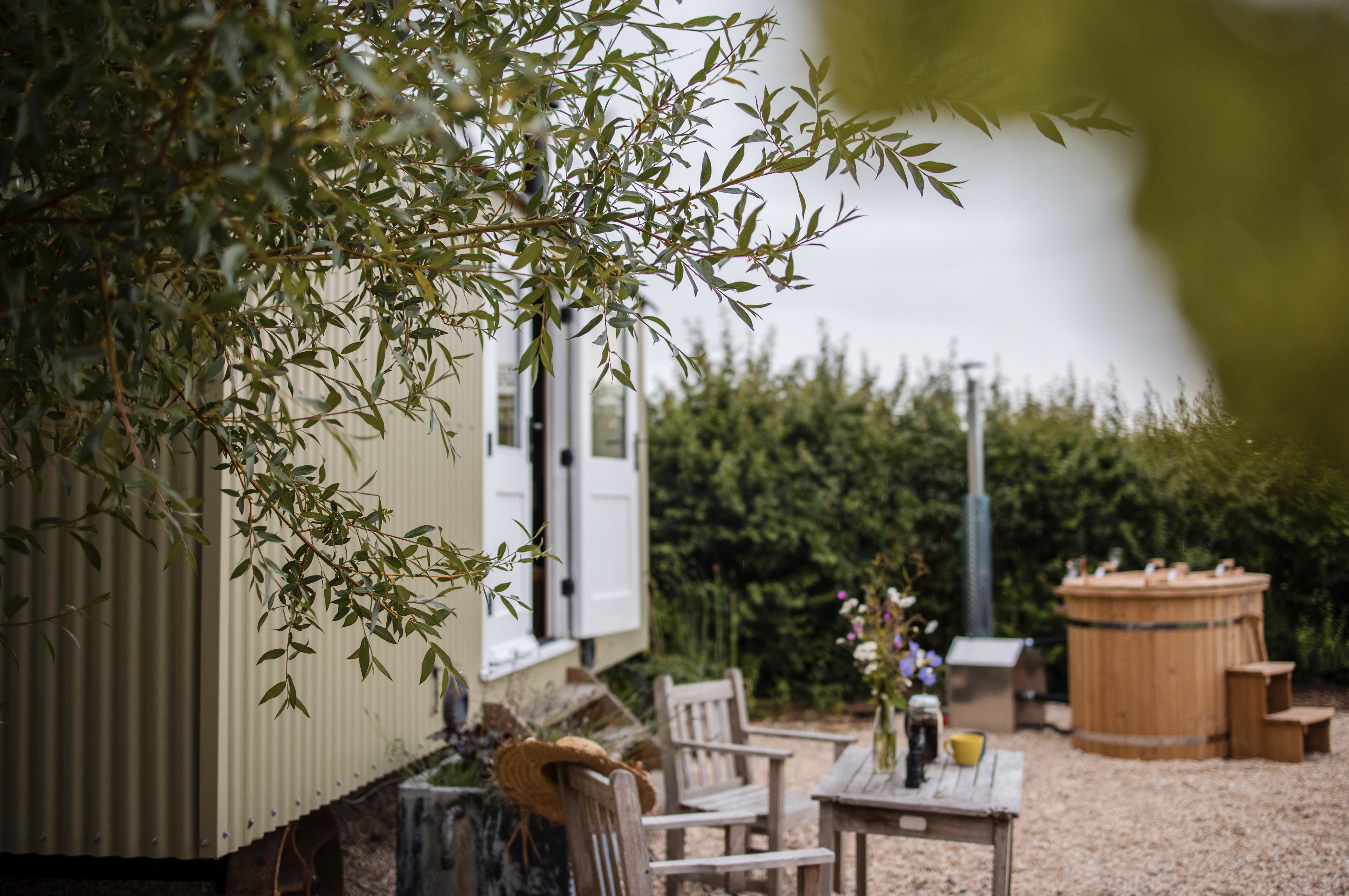 System.Collections.Generic.List`1[BluePillow.Application.SearchEngine.Dto.PhotoDto]?.ElementAt(1)?.Caption