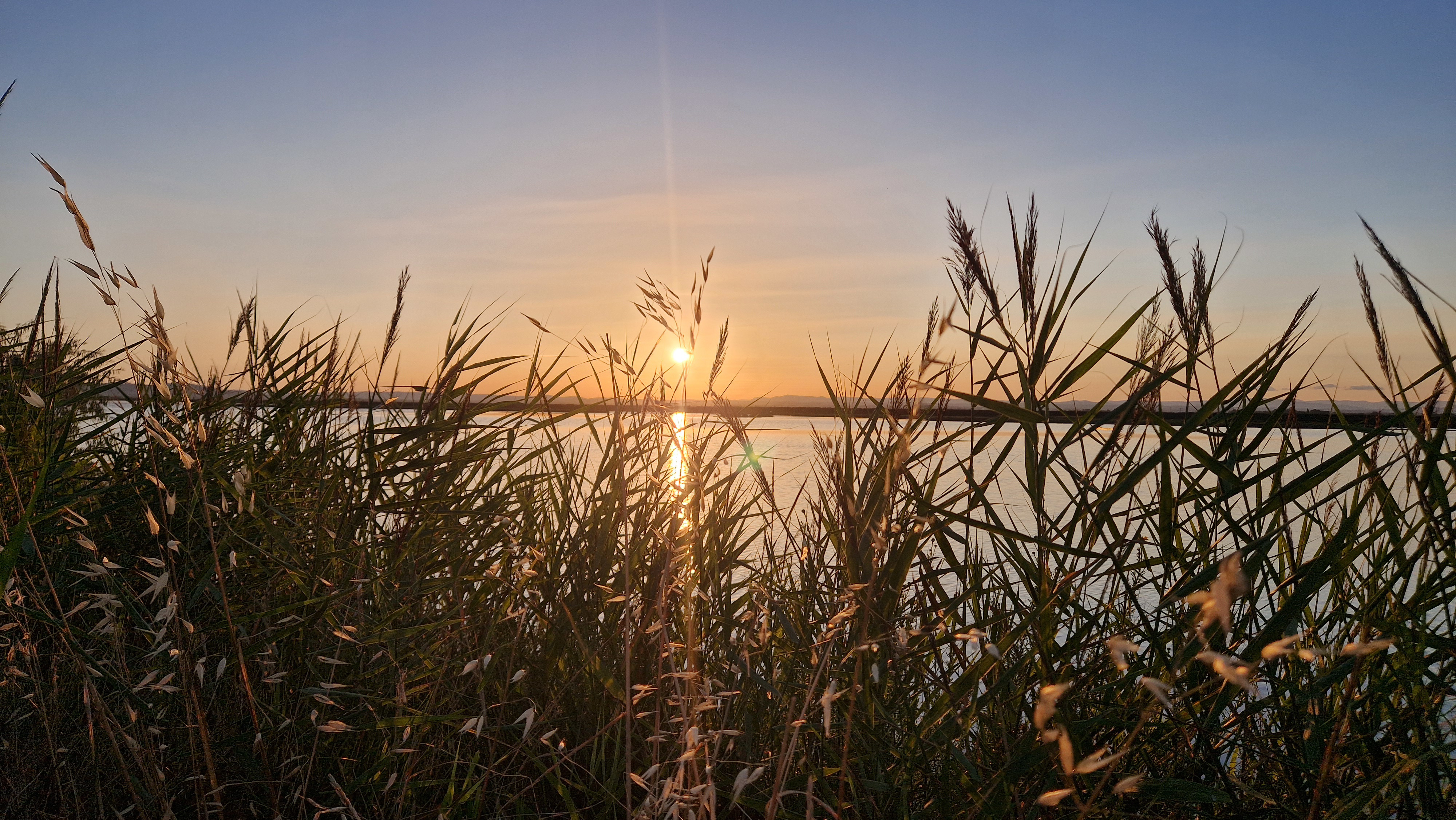 System.Collections.Generic.List`1[BluePillow.Application.SearchEngine.Dto.PhotoDto]?.ElementAt(3)?.Caption