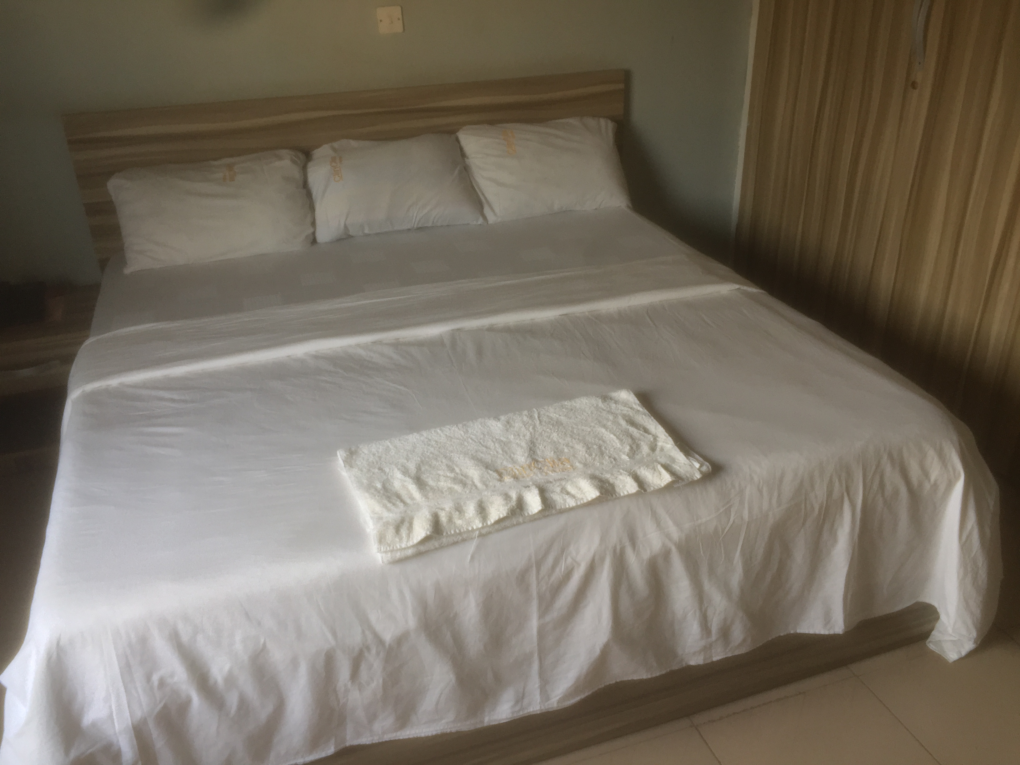 System.Collections.Generic.List`1[BluePillow.Application.SearchEngine.Dto.PhotoDto]?.ElementAt(0)?.Caption