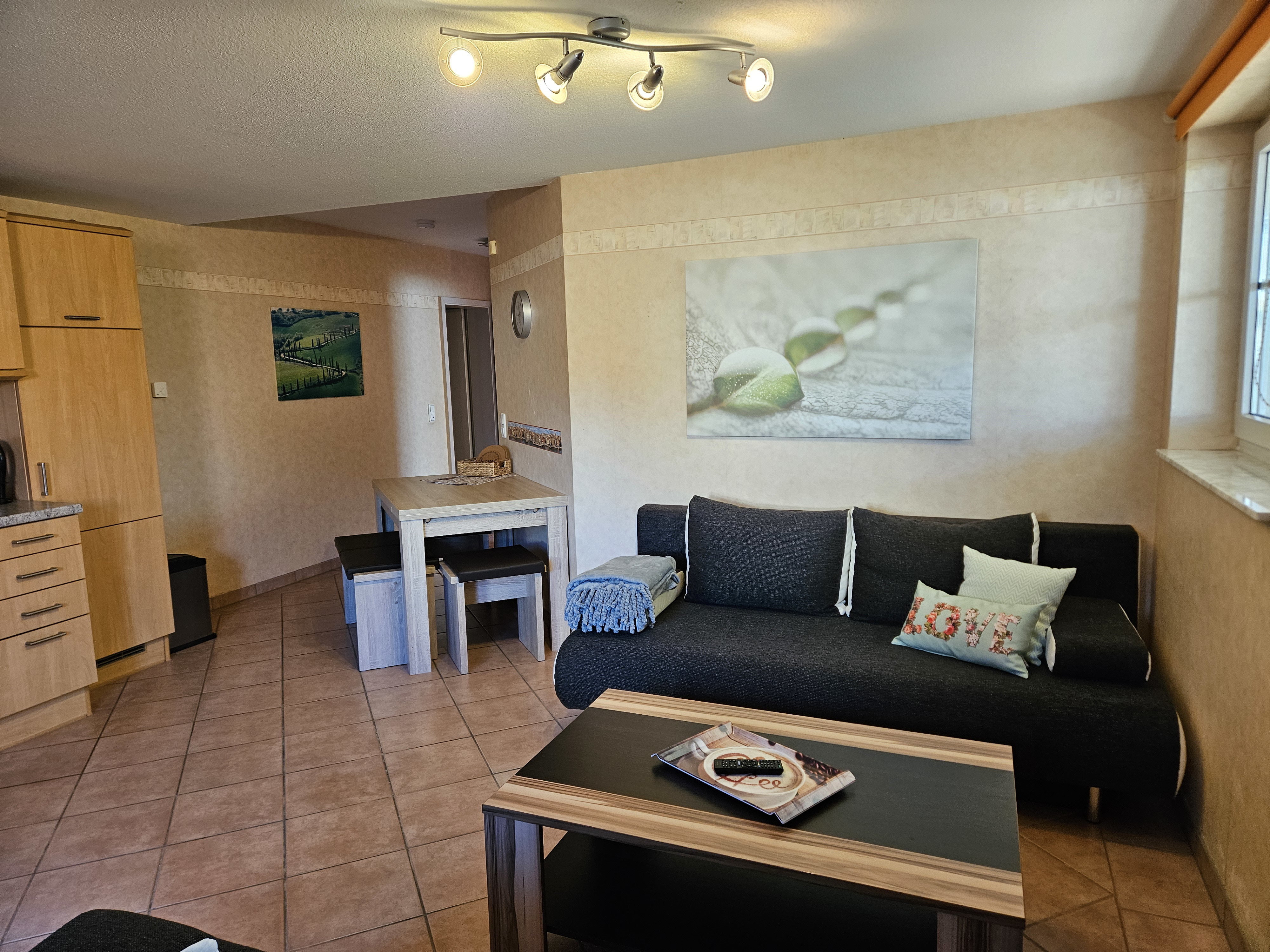 System.Collections.Generic.List`1[BluePillow.Application.SearchEngine.Dto.PhotoDto]?.ElementAt(0)?.Caption