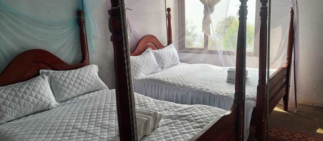 System.Collections.Generic.List`1[BluePillow.Application.SearchEngine.Dto.PhotoDto]?.ElementAt(0)?.Caption