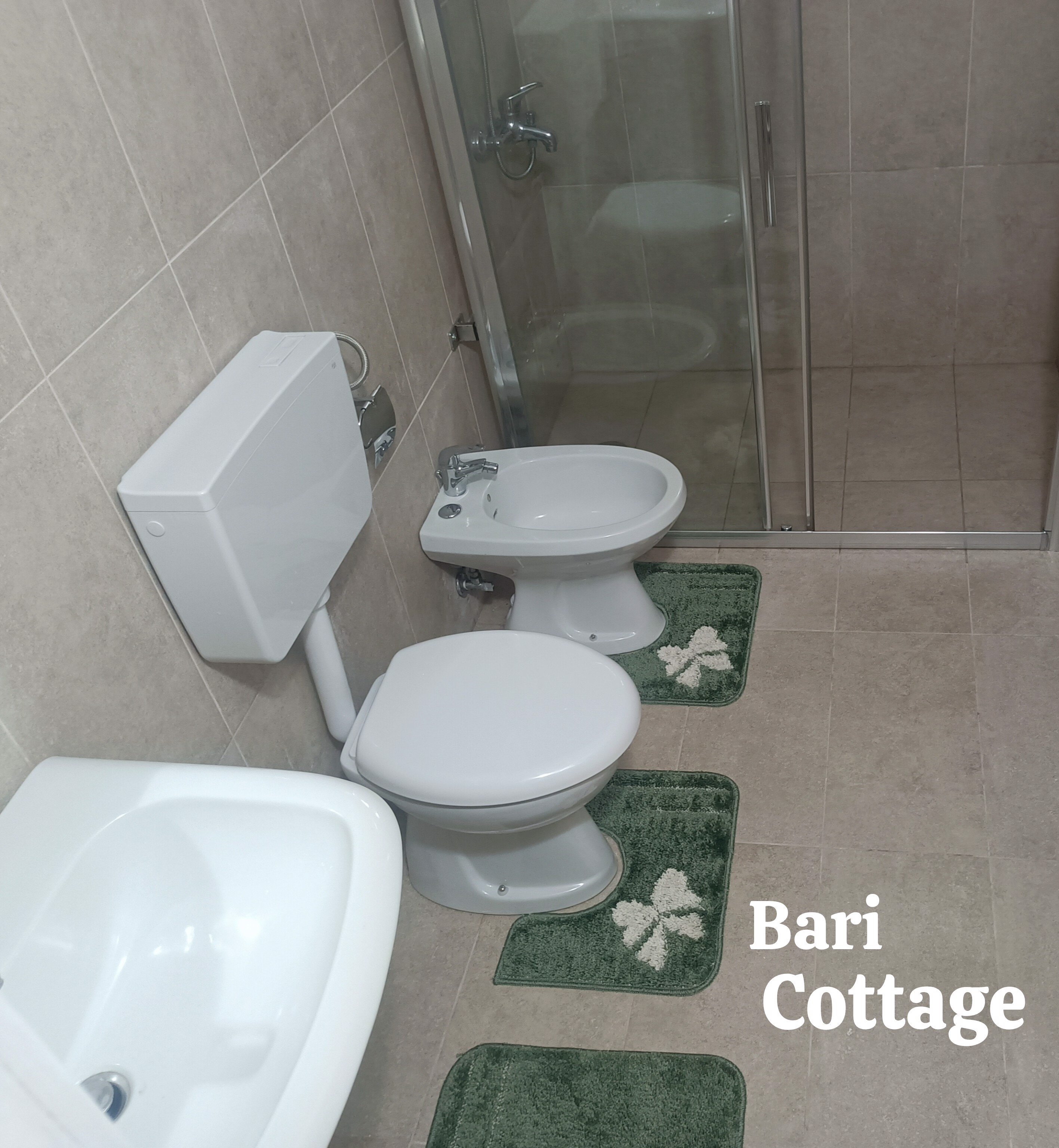 System.Collections.Generic.List`1[BluePillow.Application.SearchEngine.Dto.PhotoDto]?.ElementAt(2)?.Caption