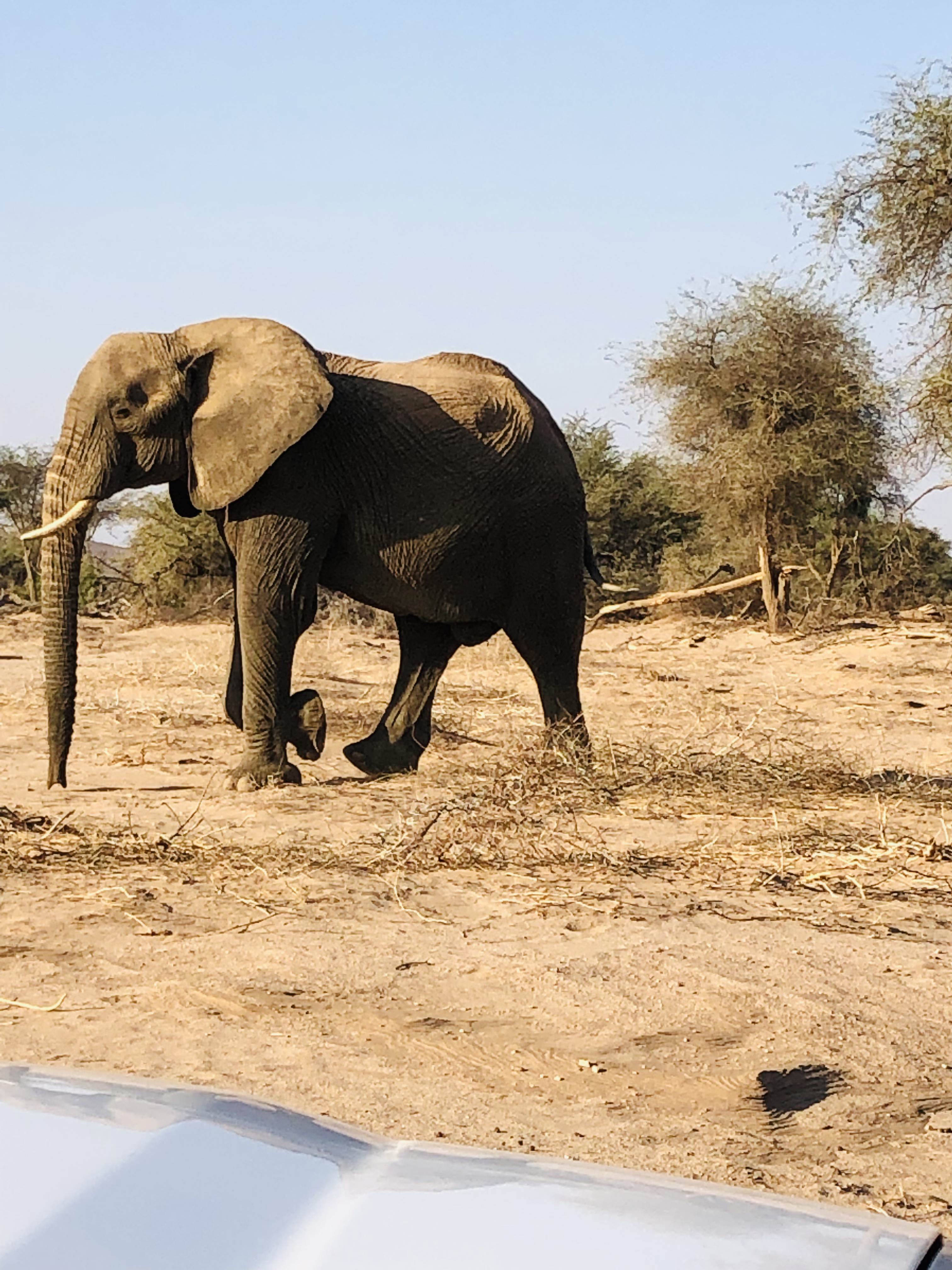 System.Collections.Generic.List`1[BluePillow.Application.SearchEngine.Dto.PhotoDto]?.ElementAt(3)?.Caption