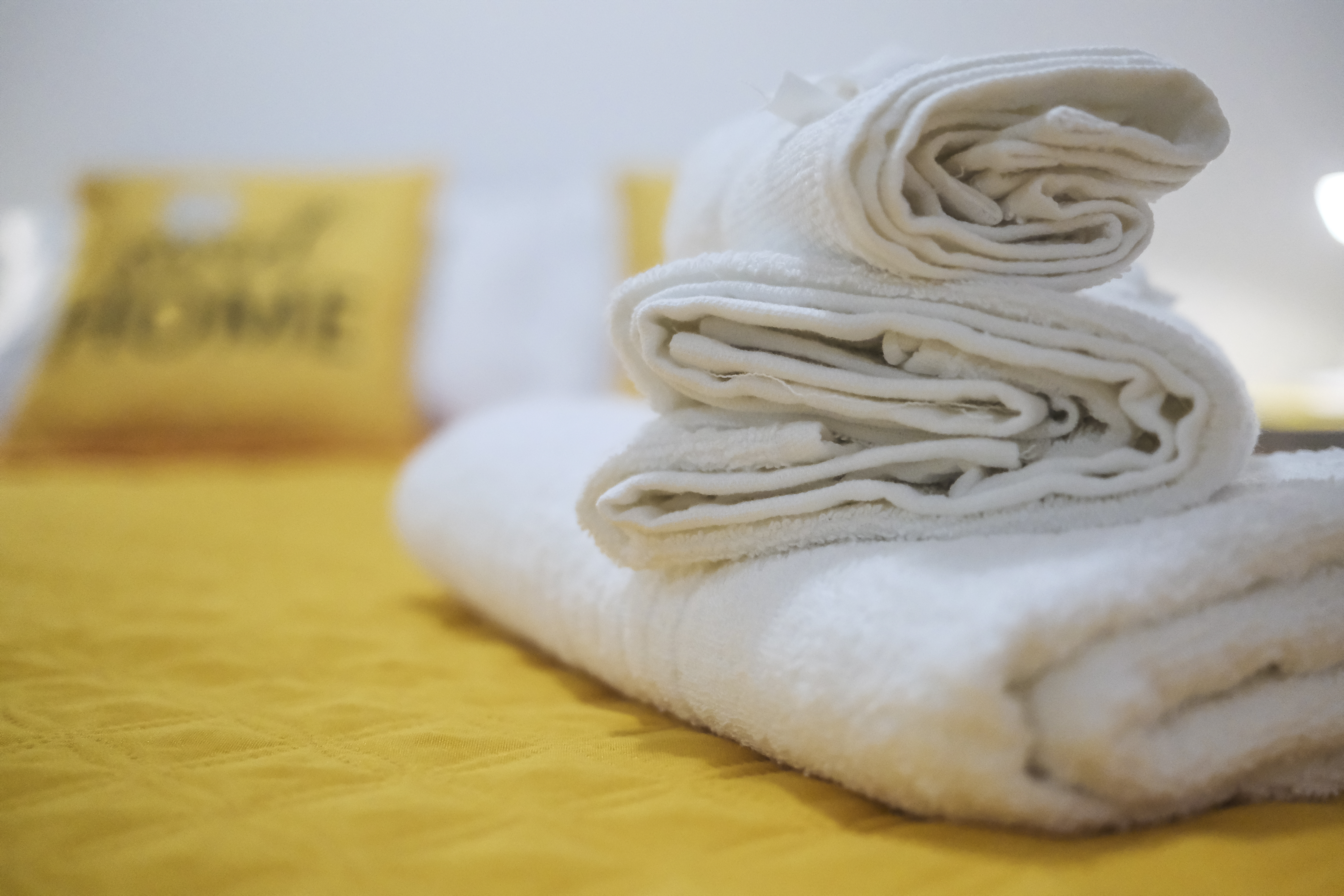 System.Collections.Generic.List`1[BluePillow.Application.SearchEngine.Dto.PhotoDto]?.ElementAt(1)?.Caption