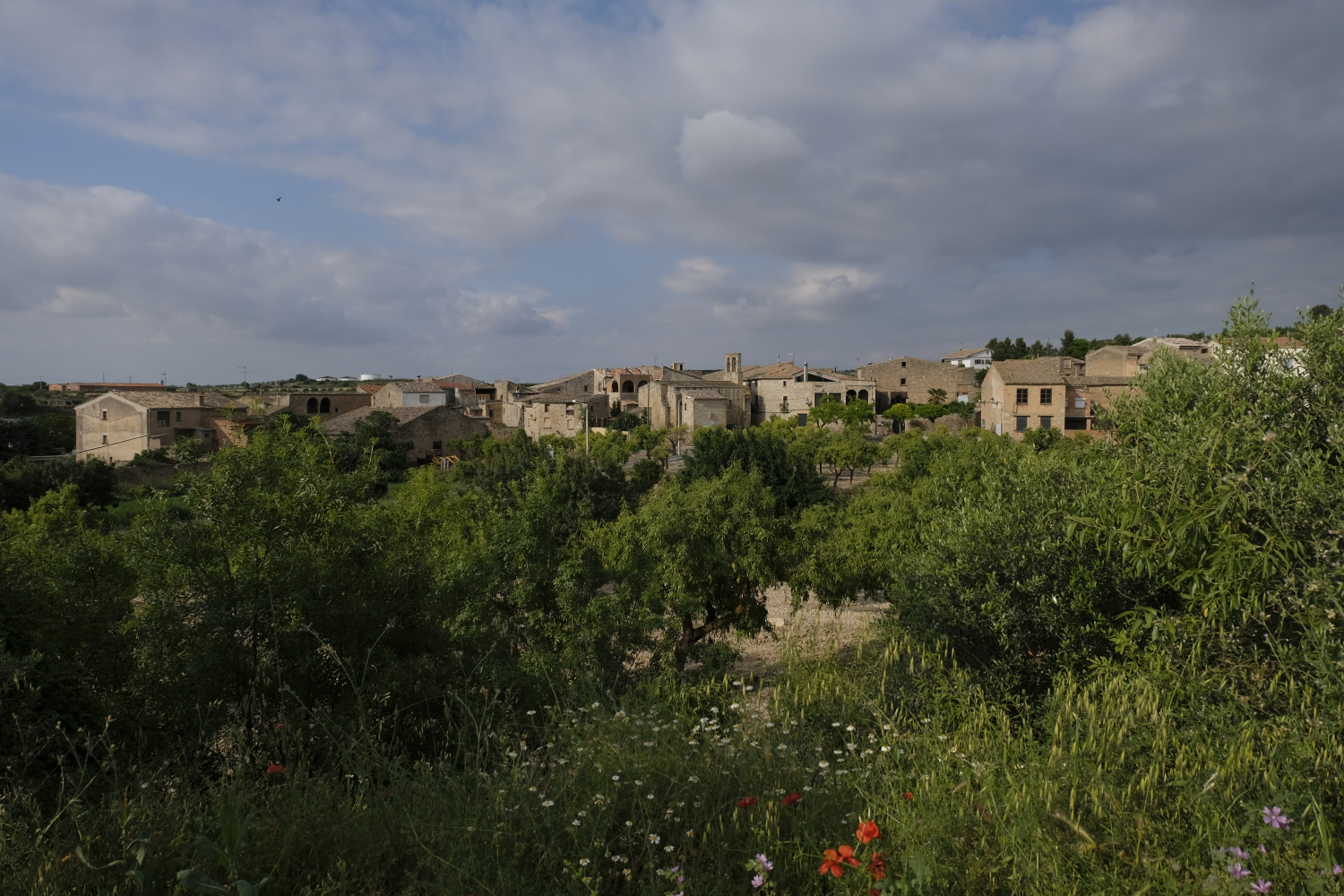 System.Collections.Generic.List`1[BluePillow.Application.SearchEngine.Dto.PhotoDto]?.ElementAt(1)?.Caption