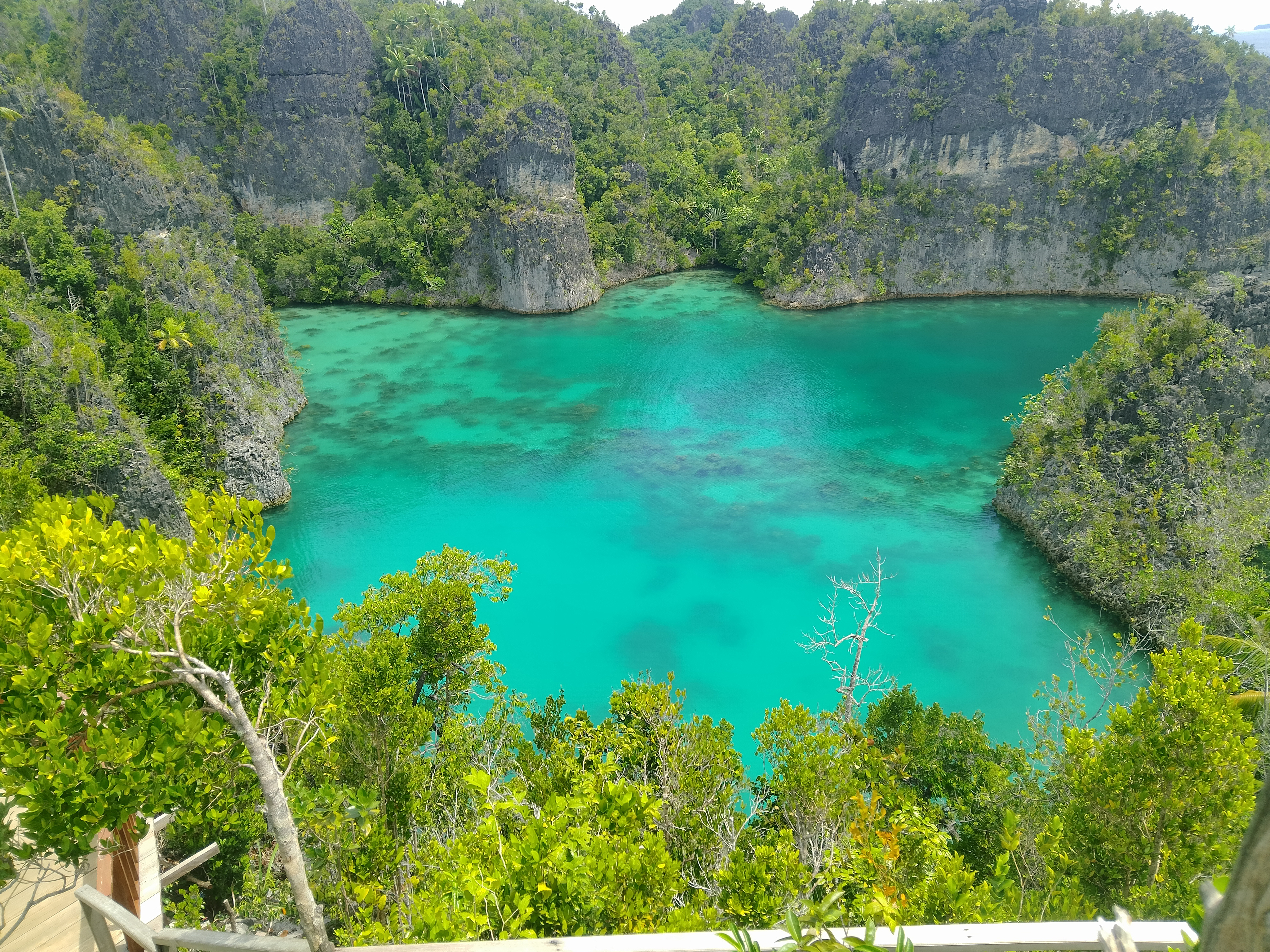 System.Collections.Generic.List`1[BluePillow.Application.SearchEngine.Dto.PhotoDto]?.ElementAt(3)?.Caption