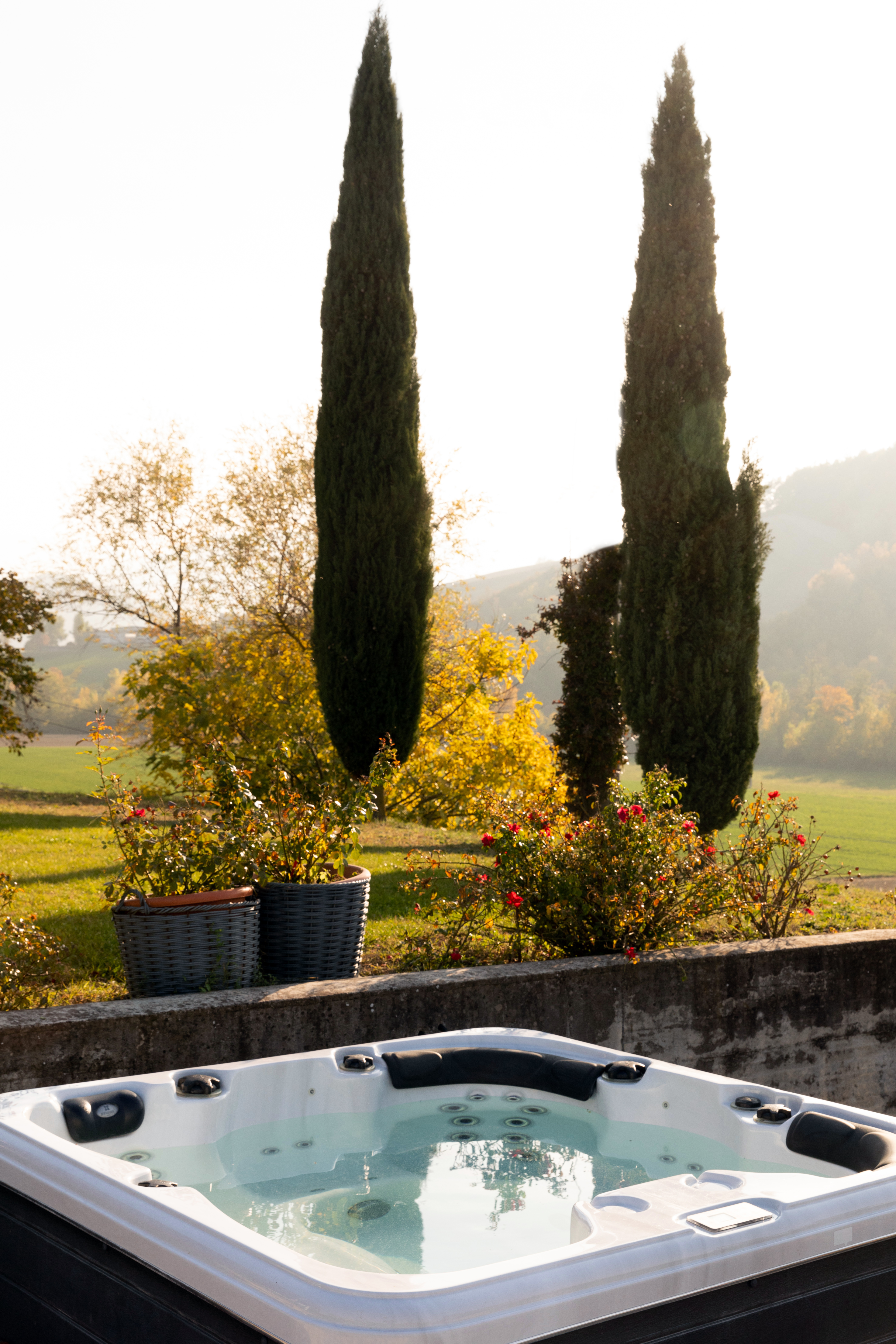 System.Collections.Generic.List`1[BluePillow.Application.SearchEngine.Dto.PhotoDto]?.ElementAt(1)?.Caption