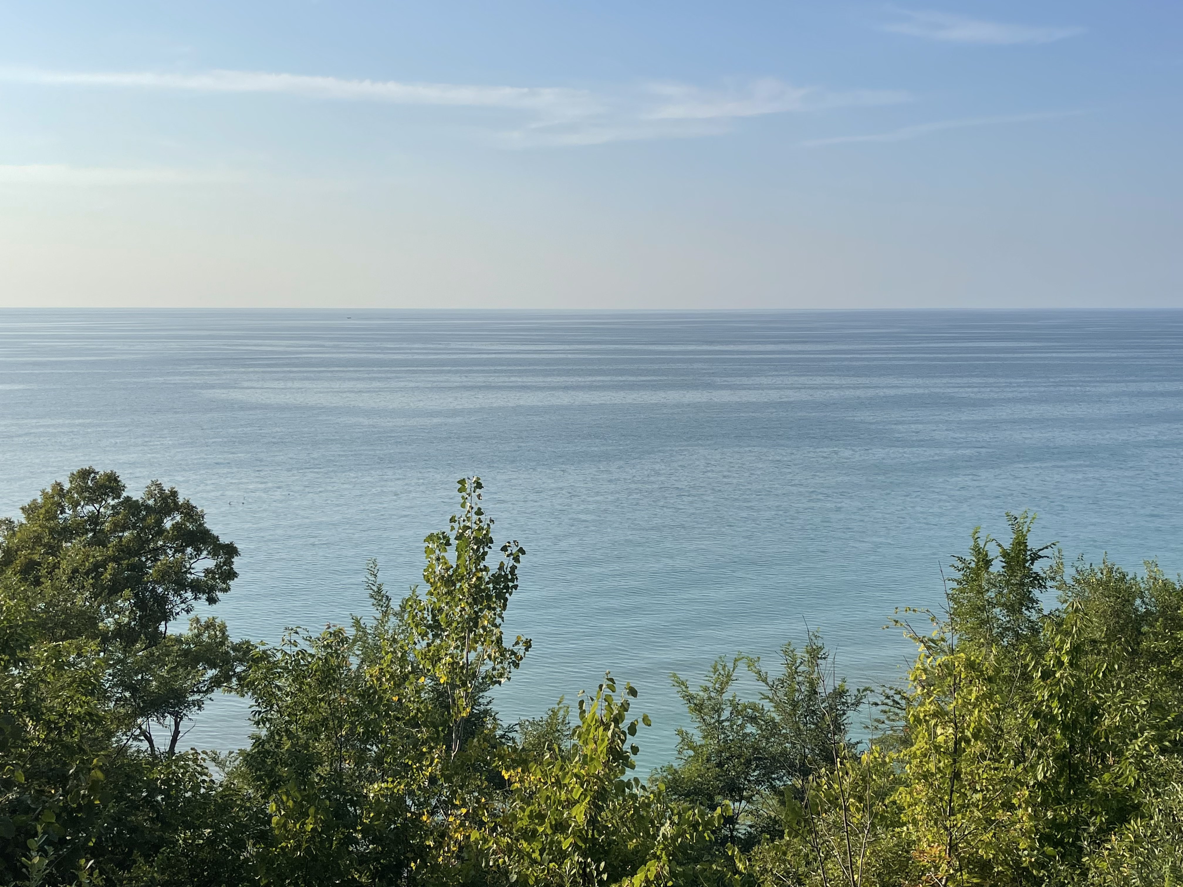 System.Collections.Generic.List`1[BluePillow.Application.SearchEngine.Dto.PhotoDto]?.ElementAt(0)?.Caption