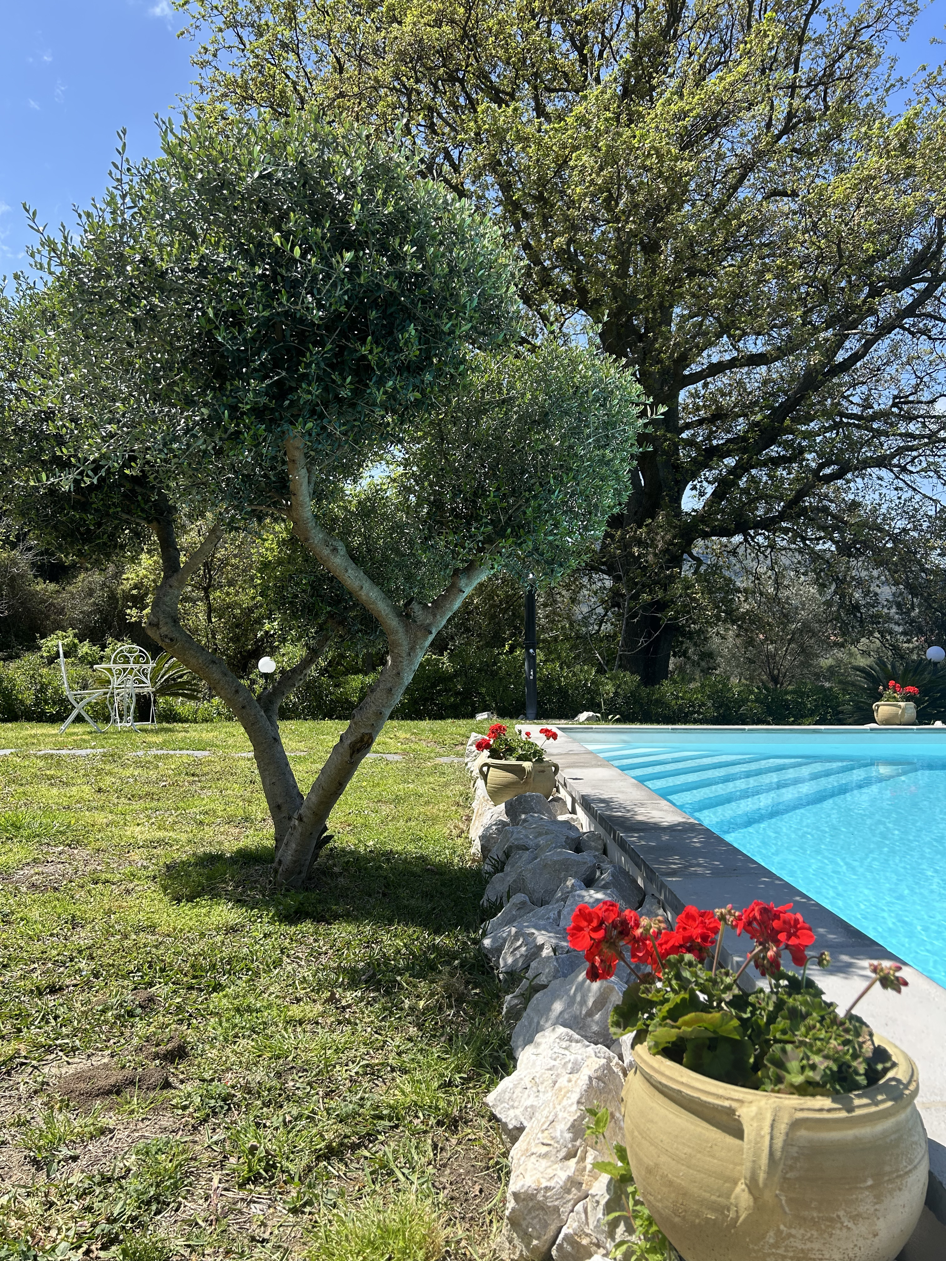 System.Collections.Generic.List`1[BluePillow.Application.SearchEngine.Dto.PhotoDto]?.ElementAt(0)?.Caption