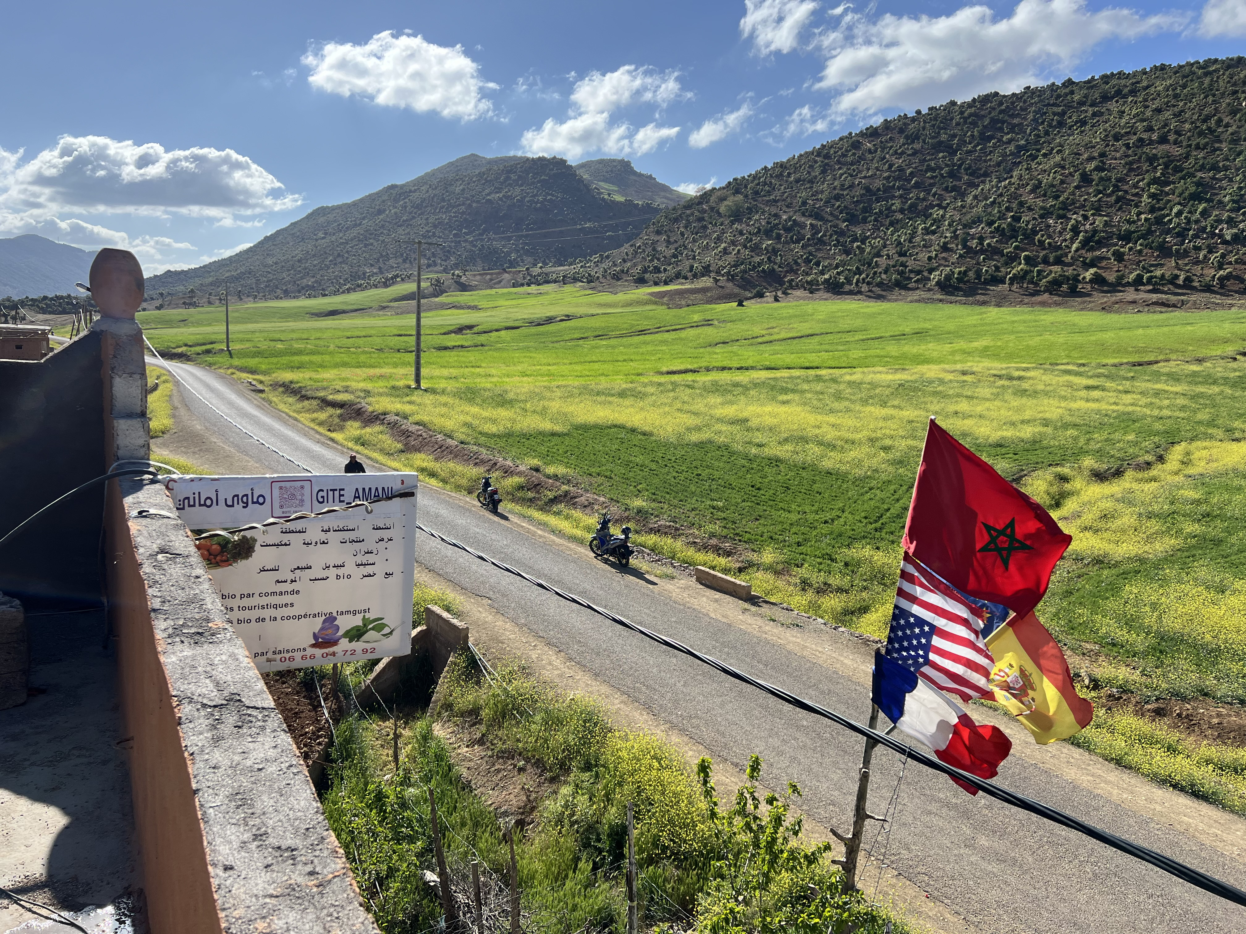 System.Collections.Generic.List`1[BluePillow.Application.SearchEngine.Dto.PhotoDto]?.ElementAt(1)?.Caption