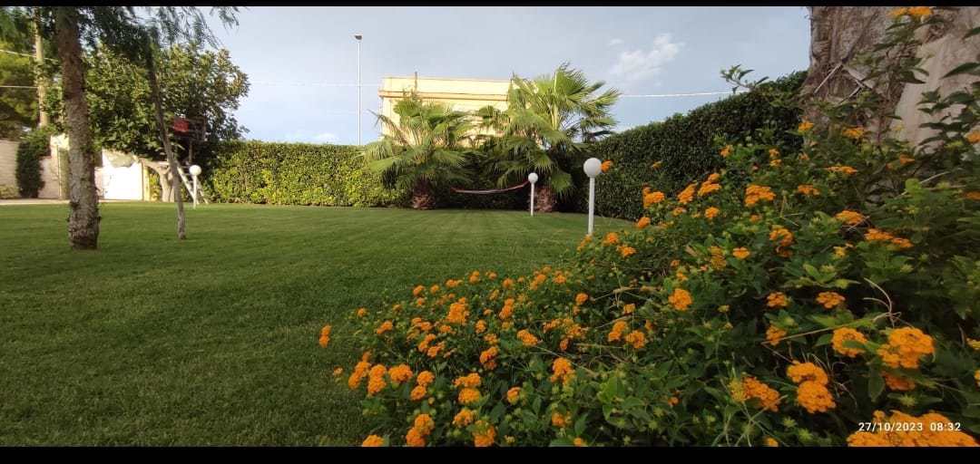 System.Collections.Generic.List`1[BluePillow.Application.SearchEngine.Dto.PhotoDto]?.ElementAt(0)?.Caption