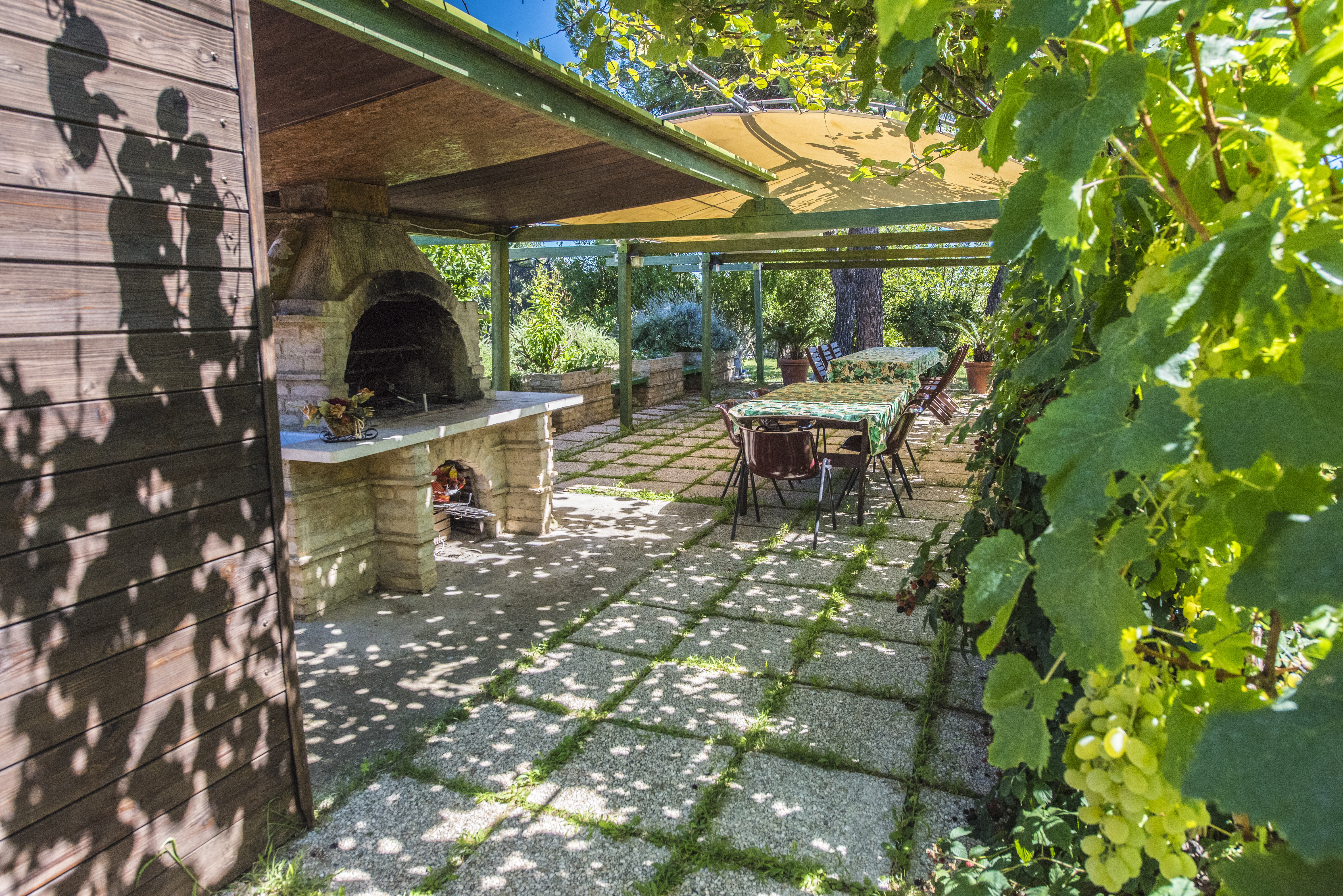 System.Collections.Generic.List`1[BluePillow.Application.SearchEngine.Dto.PhotoDto]?.ElementAt(1)?.Caption