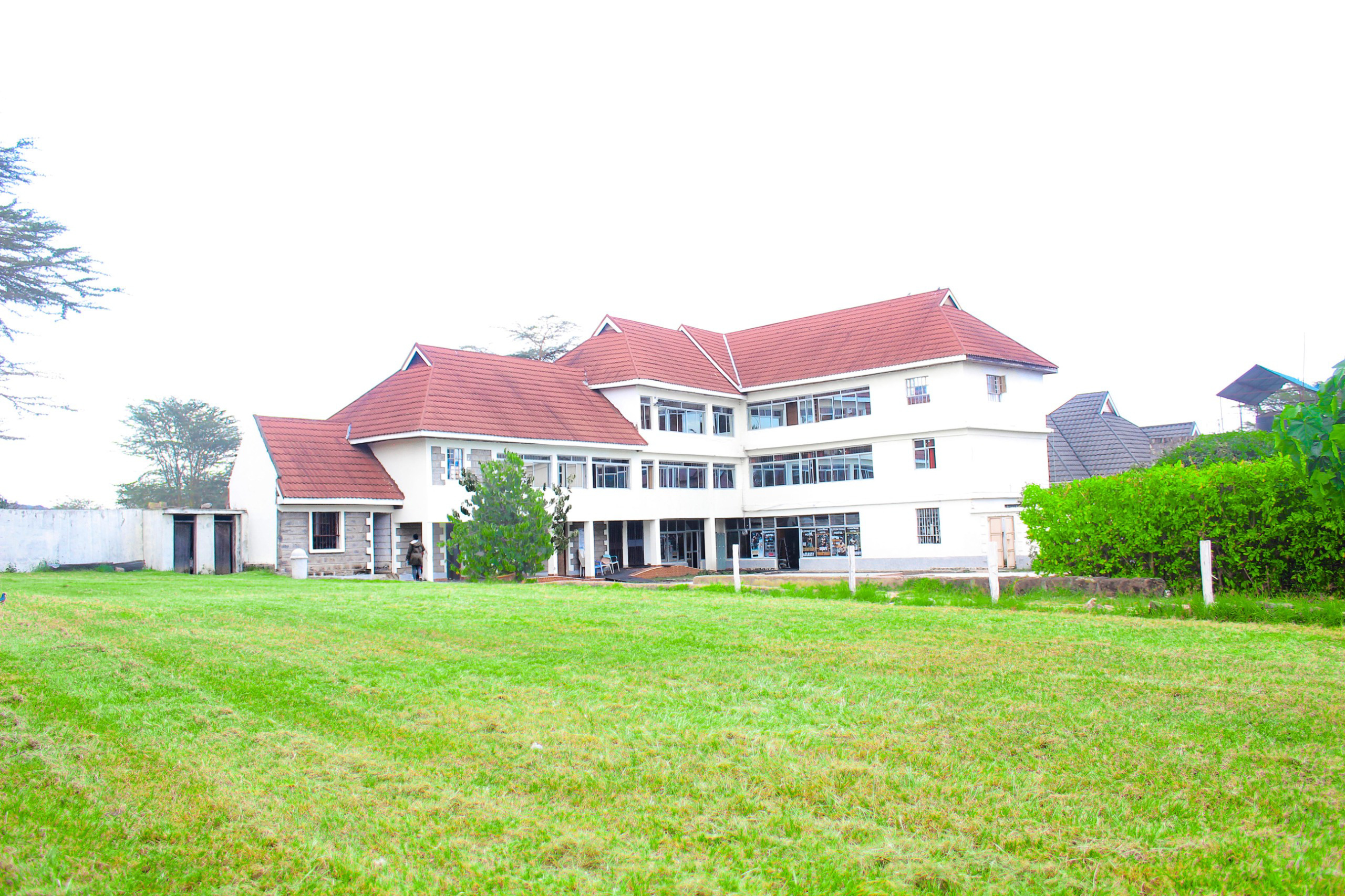 System.Collections.Generic.List`1[BluePillow.Application.SearchEngine.Dto.PhotoDto]?.ElementAt(0)?.Caption